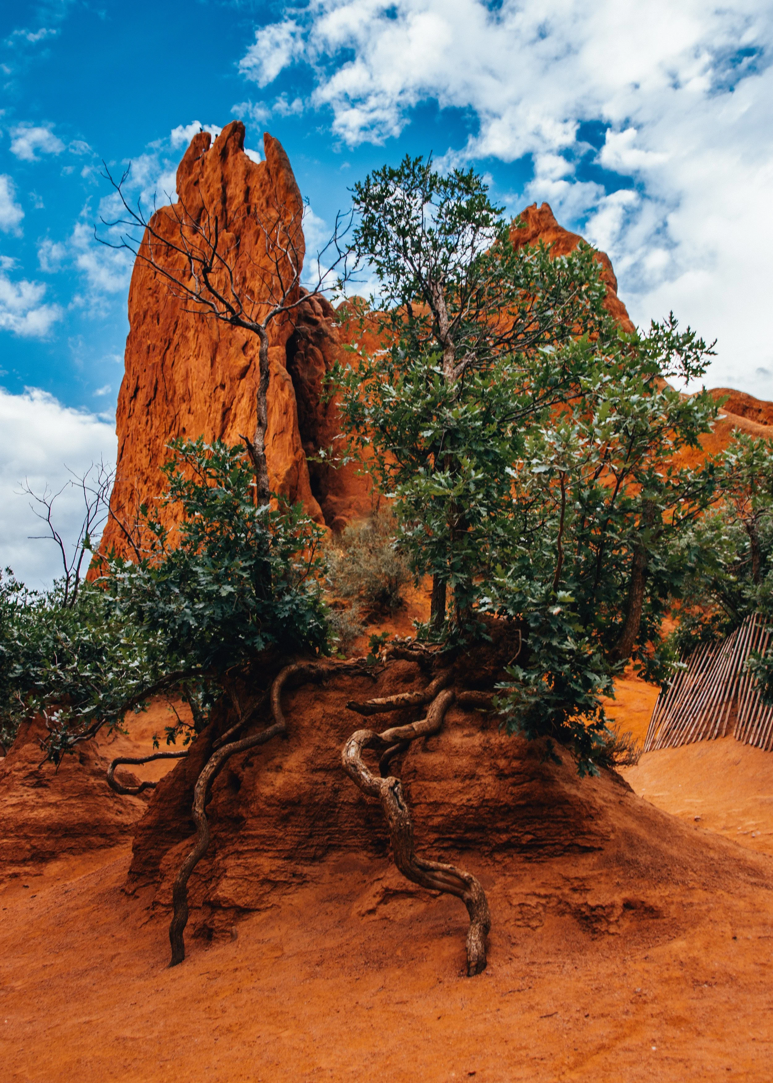 Garden of the Gods Print