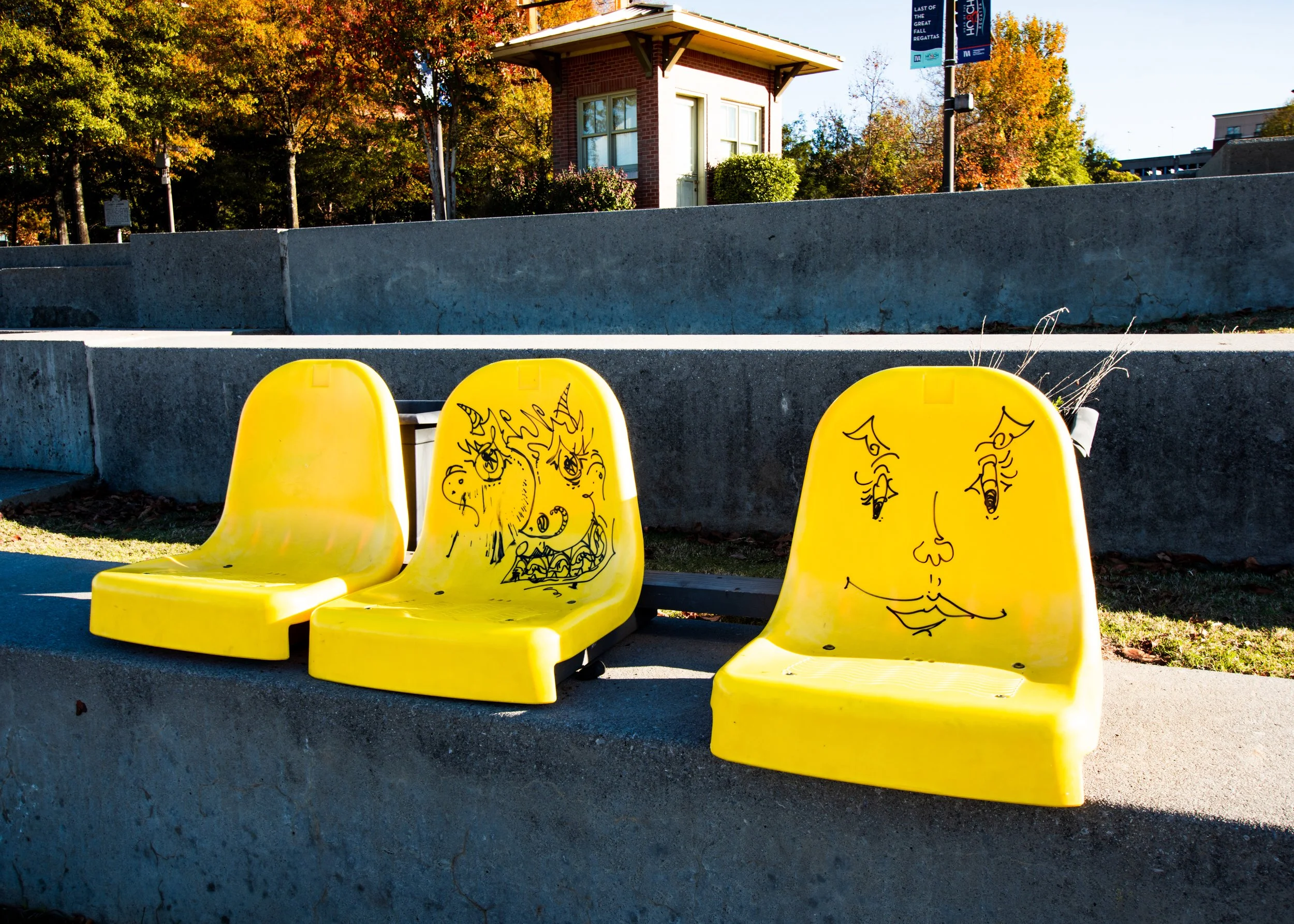 Resting Bench Face