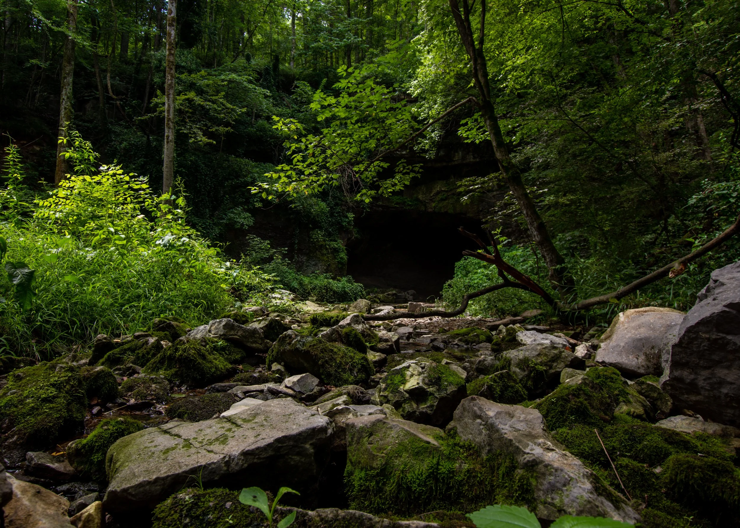 Batcave Print