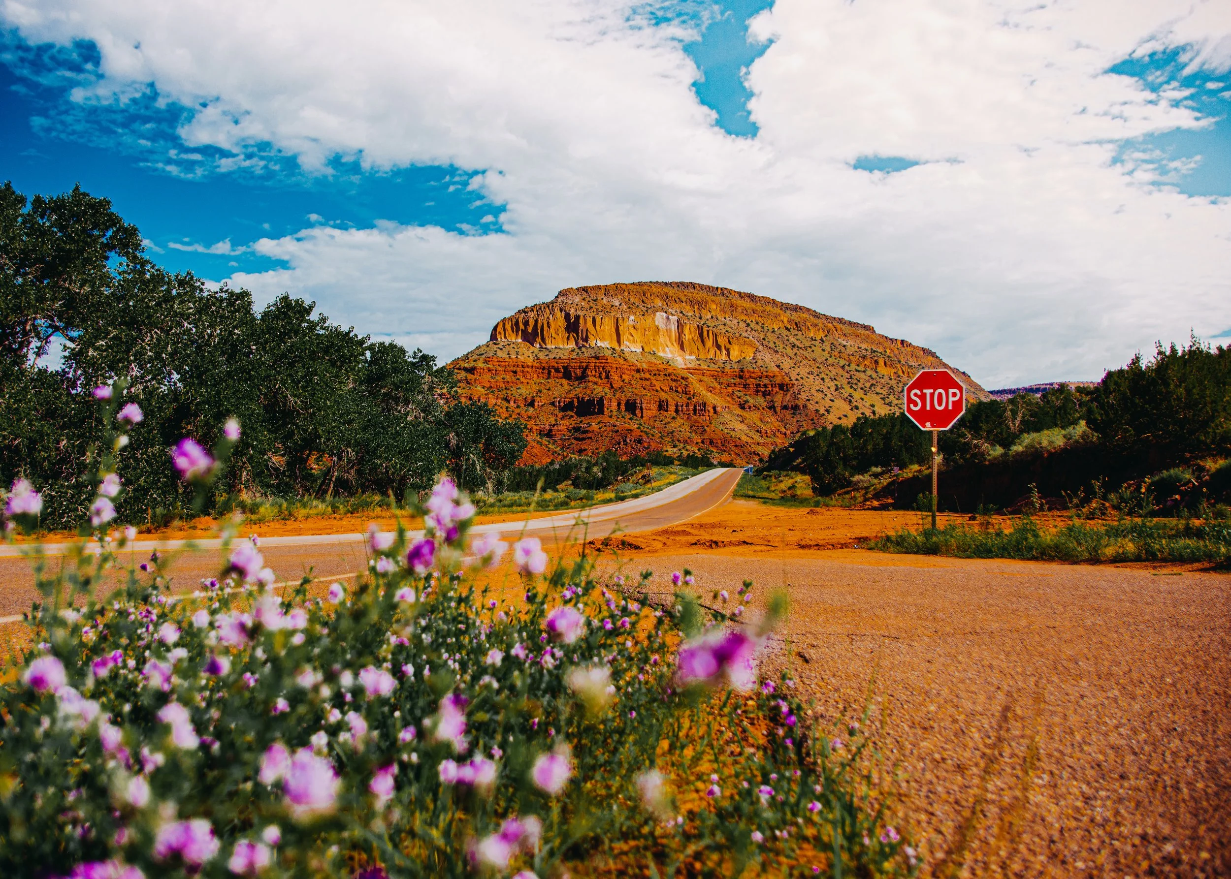 Roadside Print