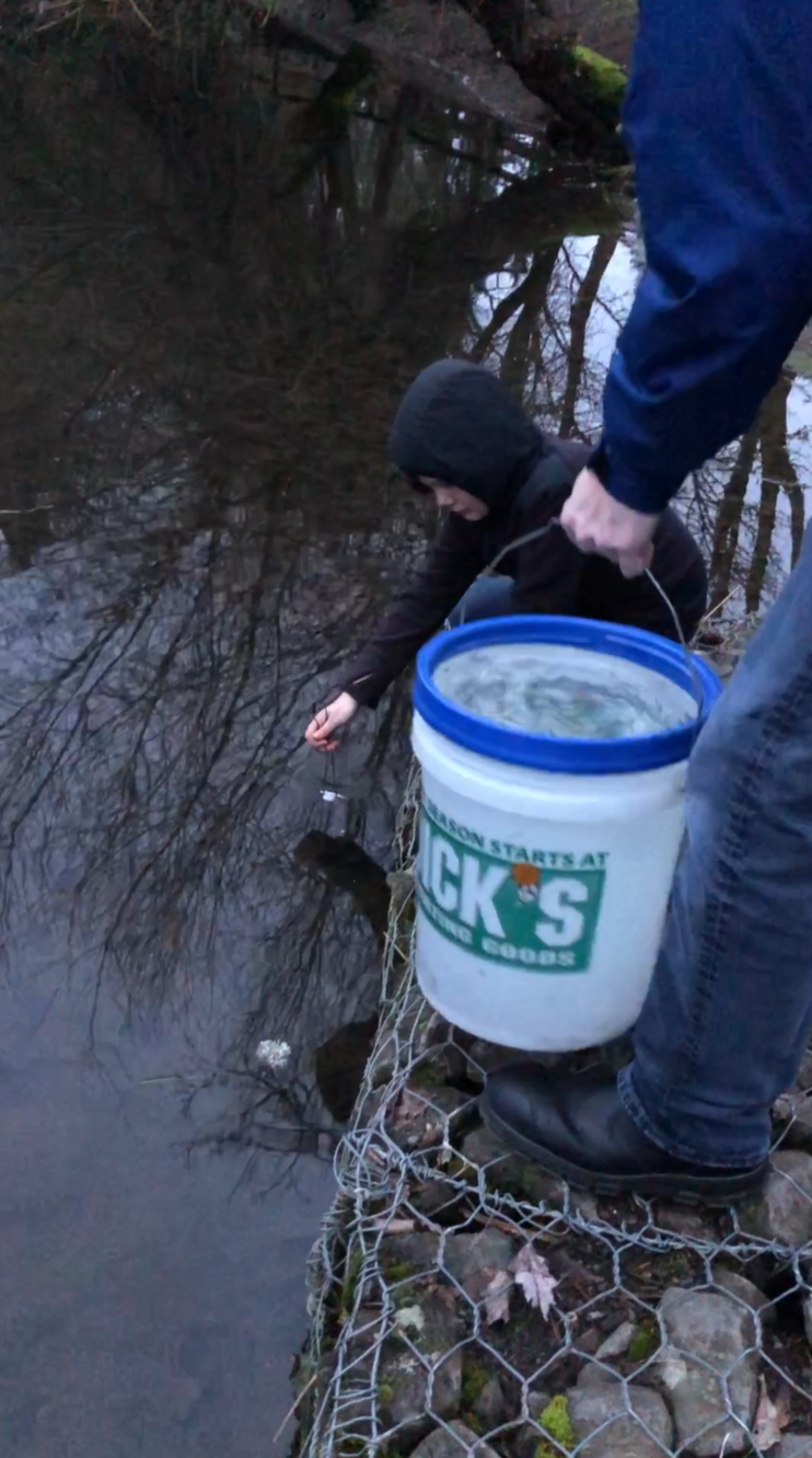 Trout canby pond 01.png