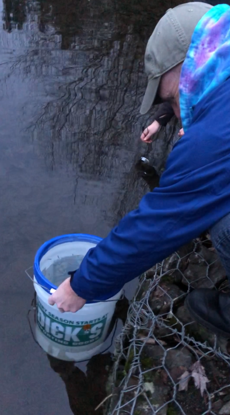 Trout canby pond 02.png