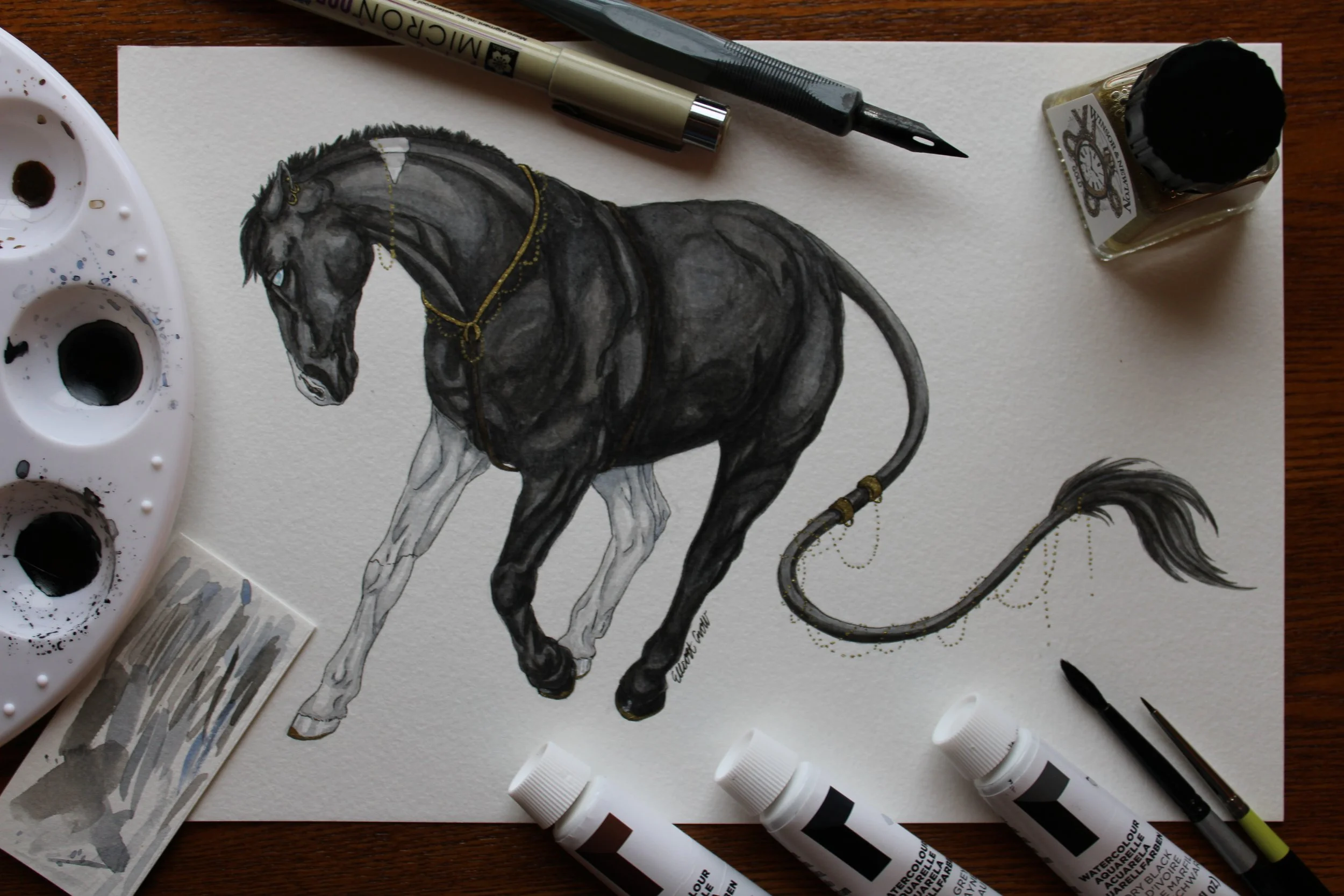 Paintings and Illustrations