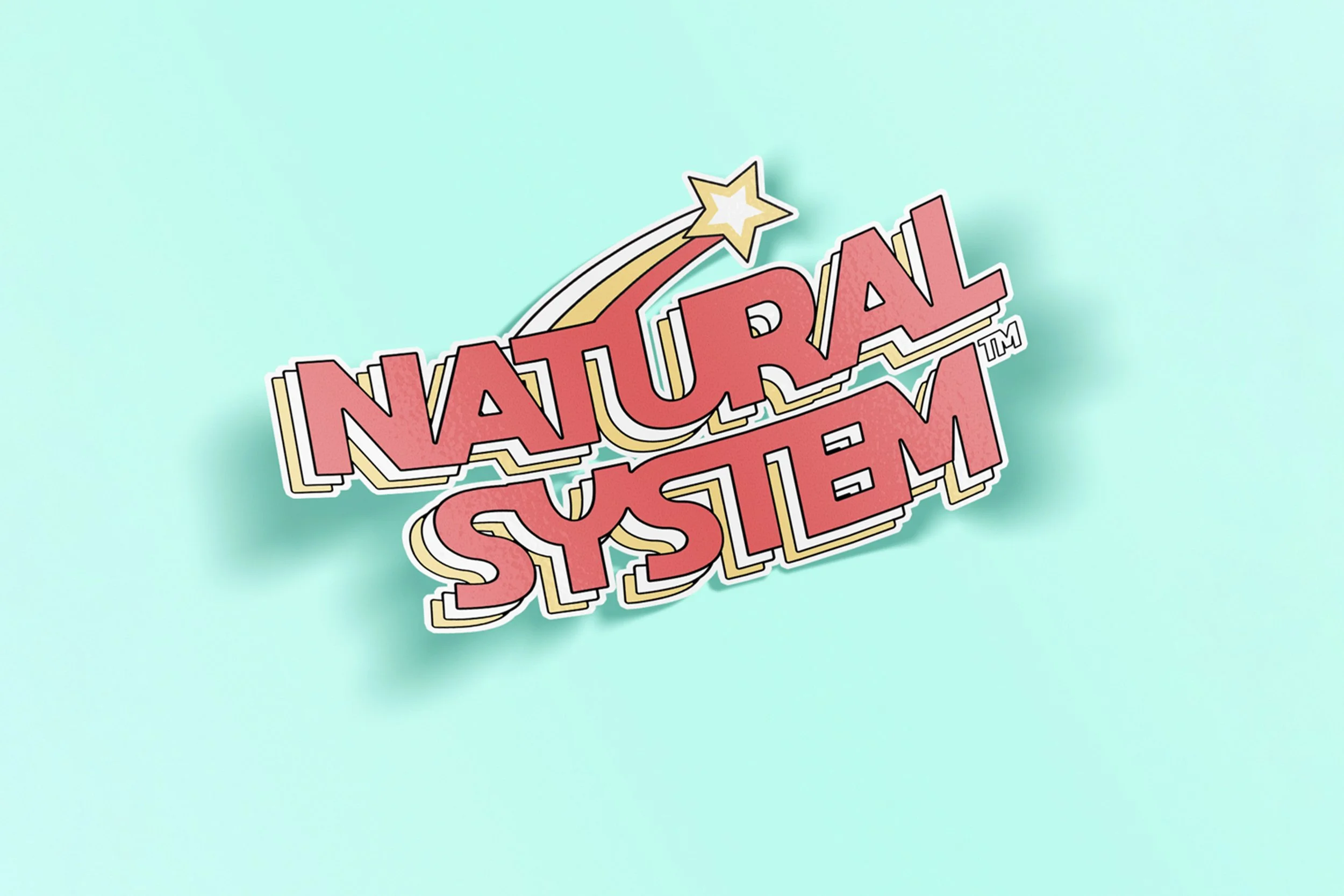 NicBelor-NatSys-01.jpg