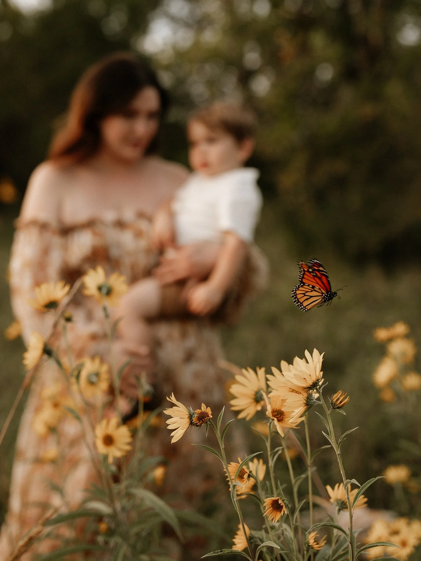 A magical evening of toddler wonder and a mother&rsquo;s love. 🌼 🦋 💛

&mdash;&mdash;&mdash;&mdash;&mdash;&mdash;&mdash;&mdash;&mdash;&mdash;&mdash;&mdash;&mdash;&mdash;&mdash;&mdash;&mdash;&mdash;&mdash;&mdash;&mdash;&mdash;

Capturing the Heart o