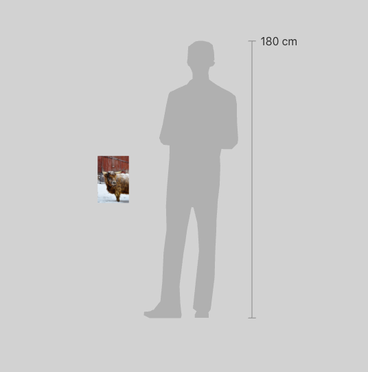 Screen Shot 2023-02-02 at 3.09.58 PM.png