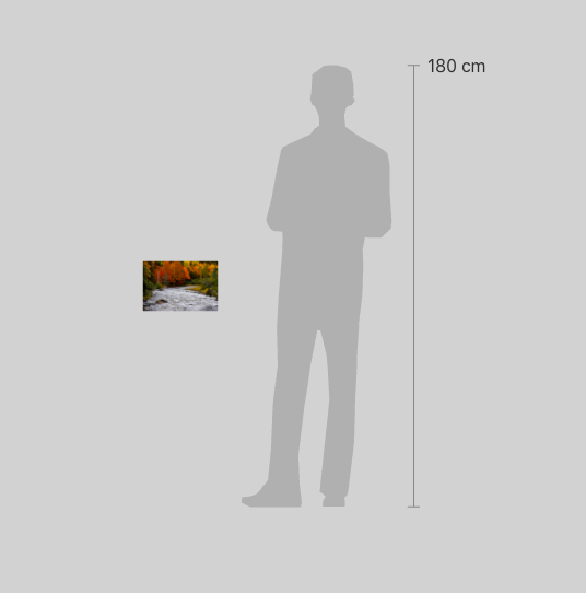Screen Shot 2023-02-04 at 1.26.15 PM.png