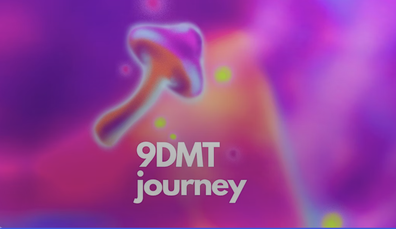 9DMT Trip @SHYpractice
