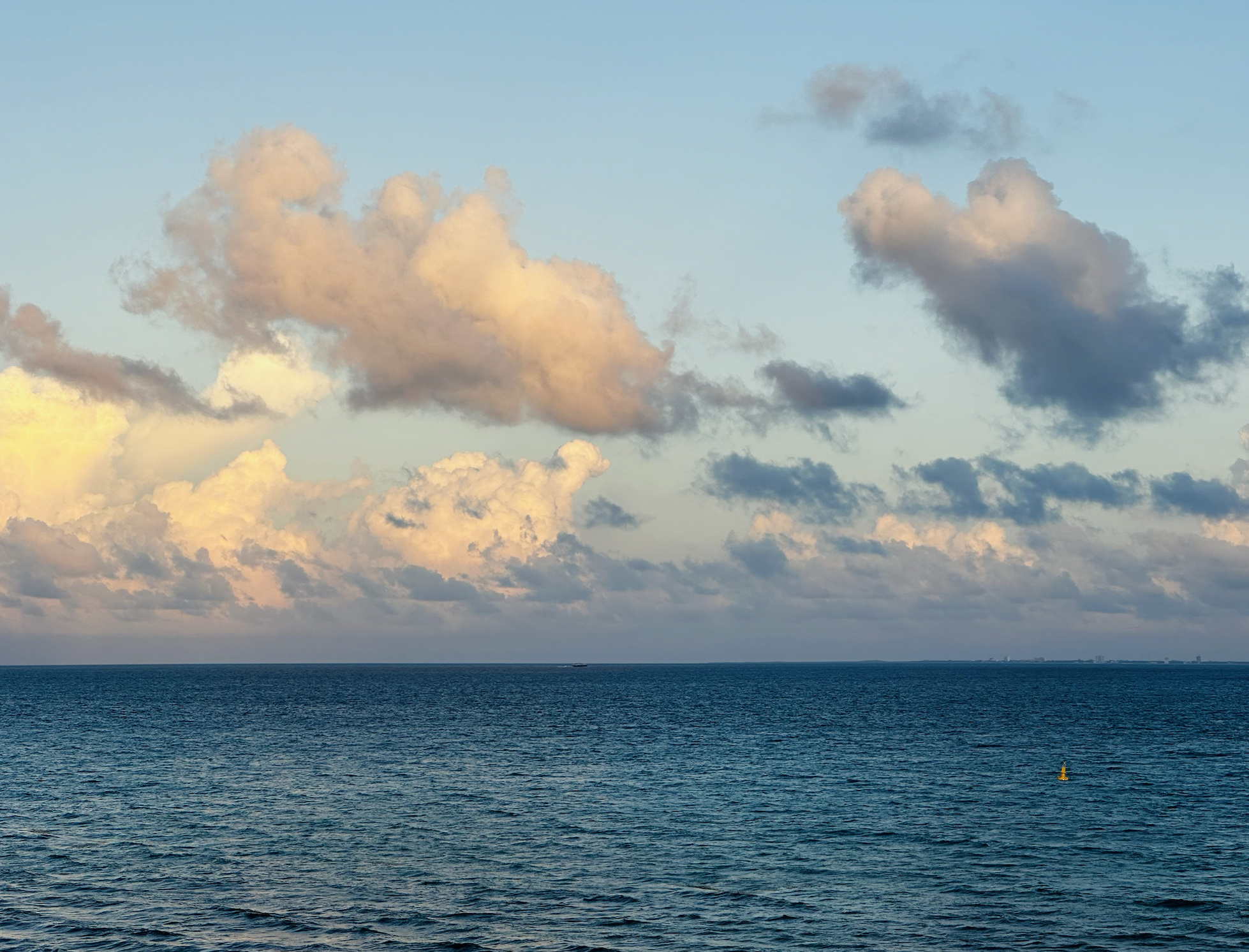 Your Nervous System Is Your Foundation