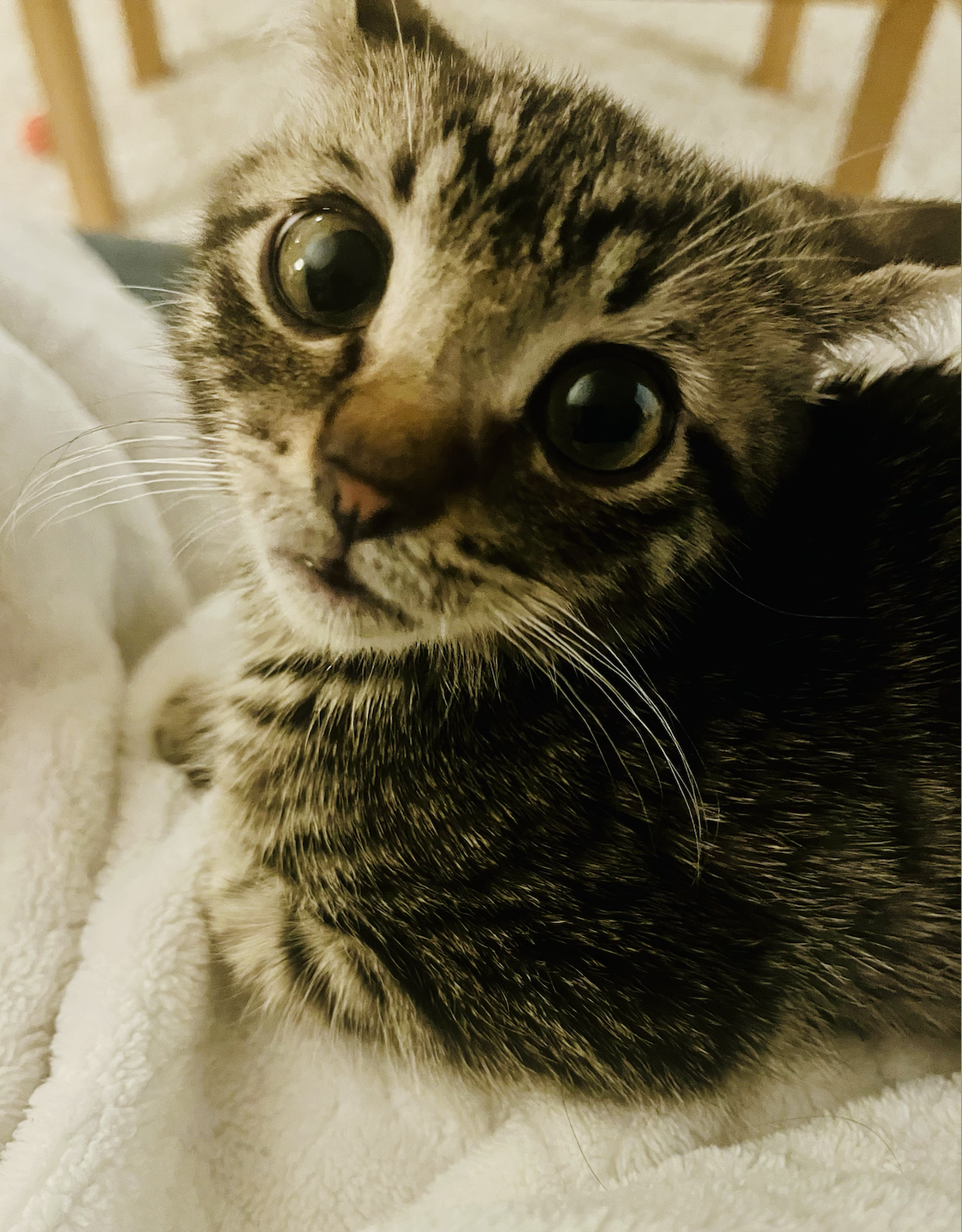 The Duality We Are Living: Awakening or Staying Asleep