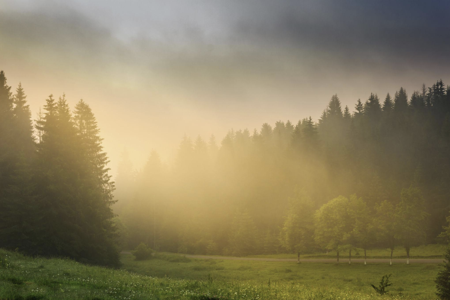 Confusion and Clarity: Learning to Move With Our Energy