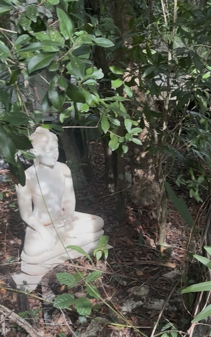 A Leap of Faith: Returning to the Heart in the Jungle