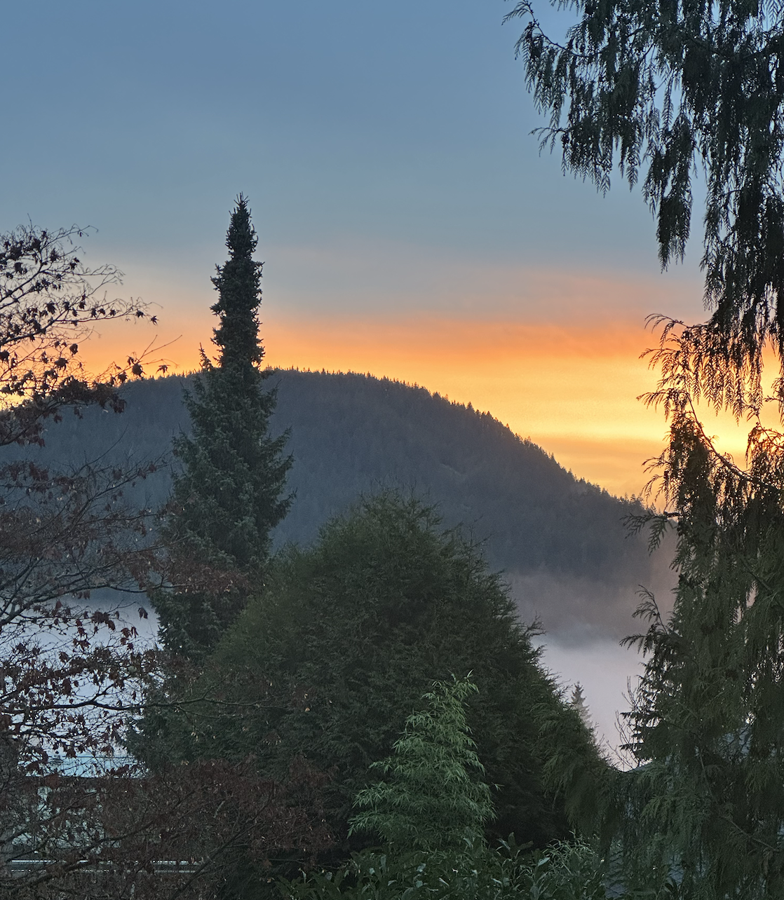 Sunset over forested mountains with silhouettes of trees and fog at the base.