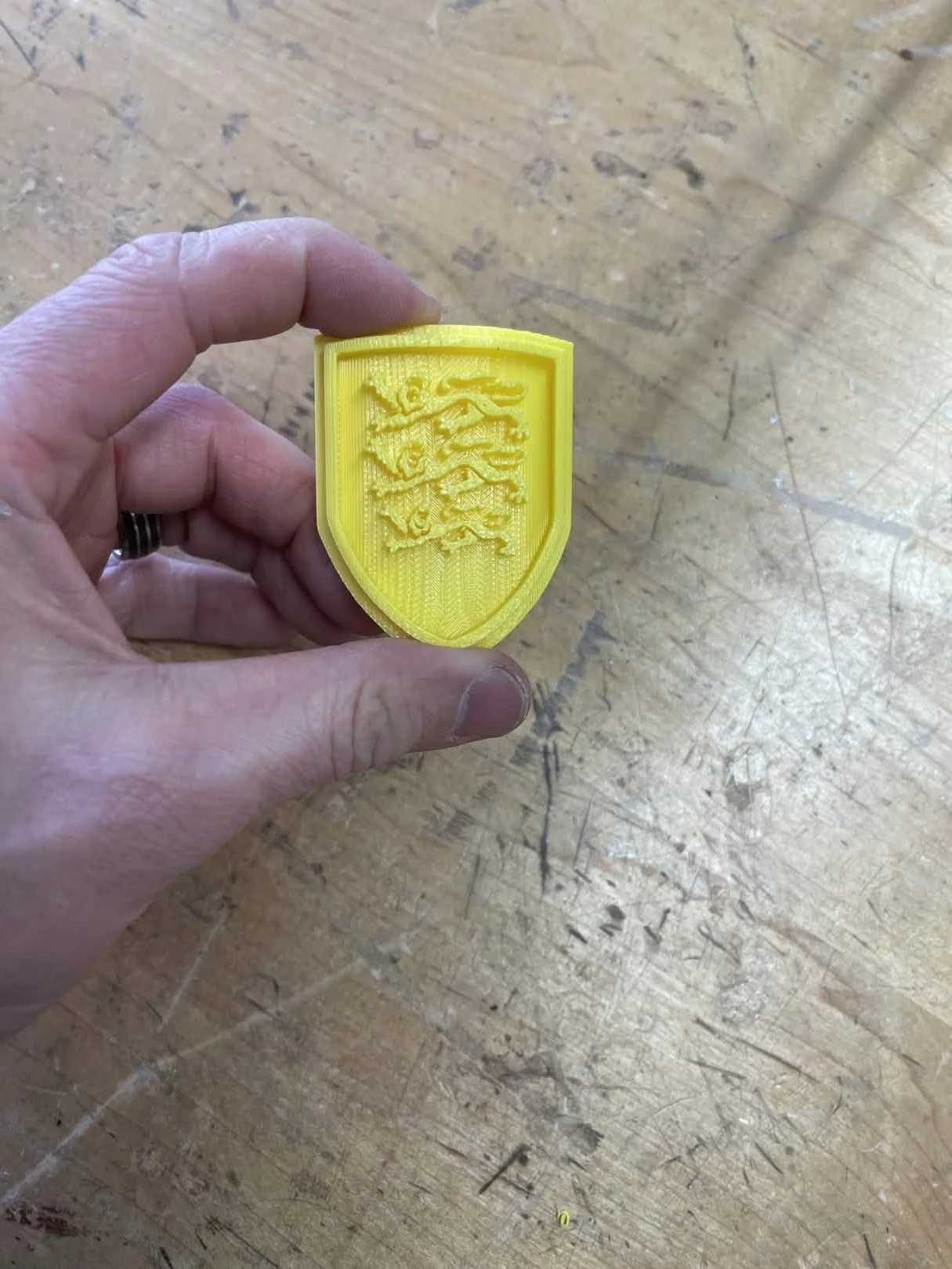 britons badge ir pic.jpg