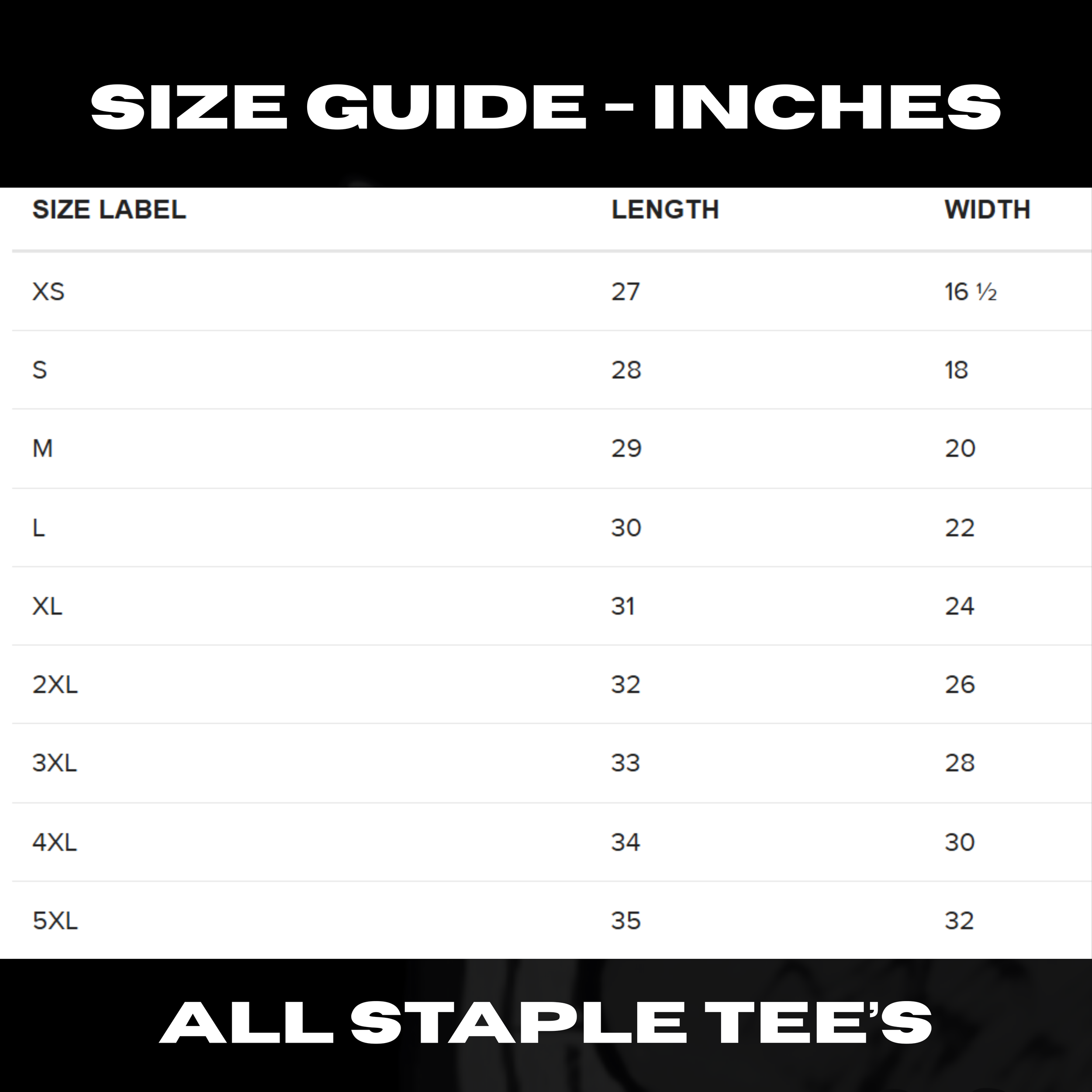 staple tee size guide inches.png