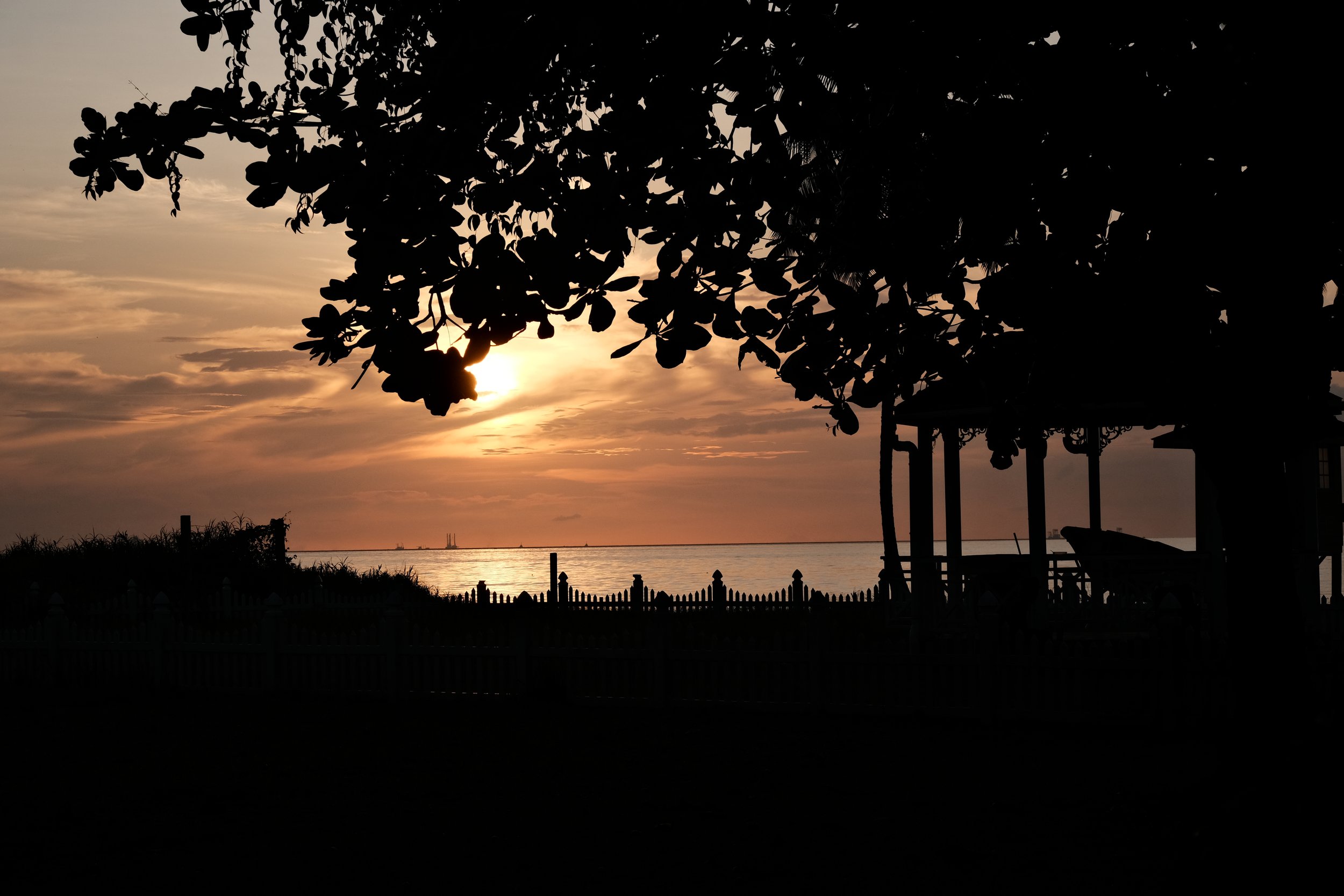 Silhouette of a tree and a gazebo against a setting sun over the water at dusk, with a fence in the foreground.