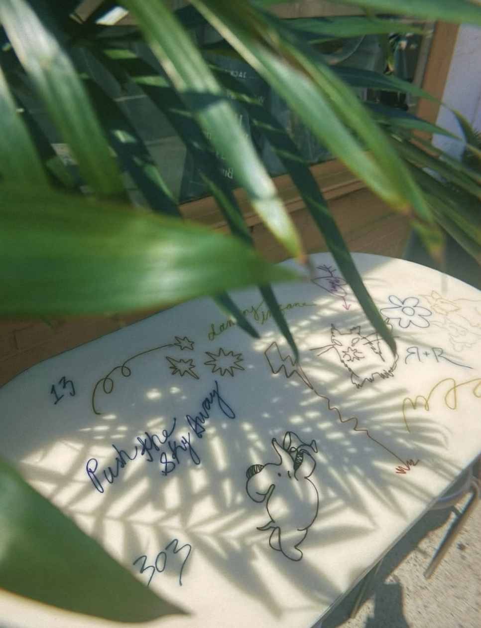 A white table with colorful handwritten and drawn notes and doodles, partially obscured by green plant leaves casting shadows, with a wooden cabinet in the background.