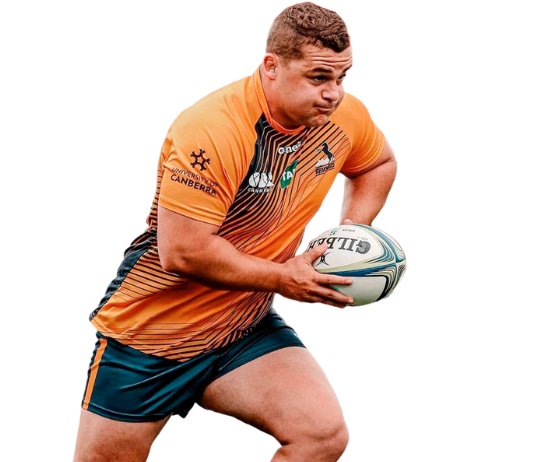 Shute Shield Draw - Grade Rugby — Southern Districts Rugby Club