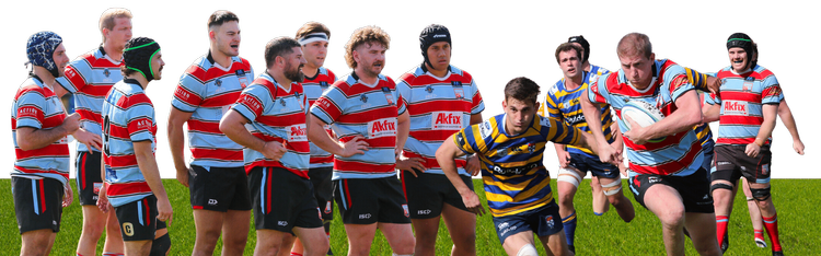 Southern Districts Rugby Club