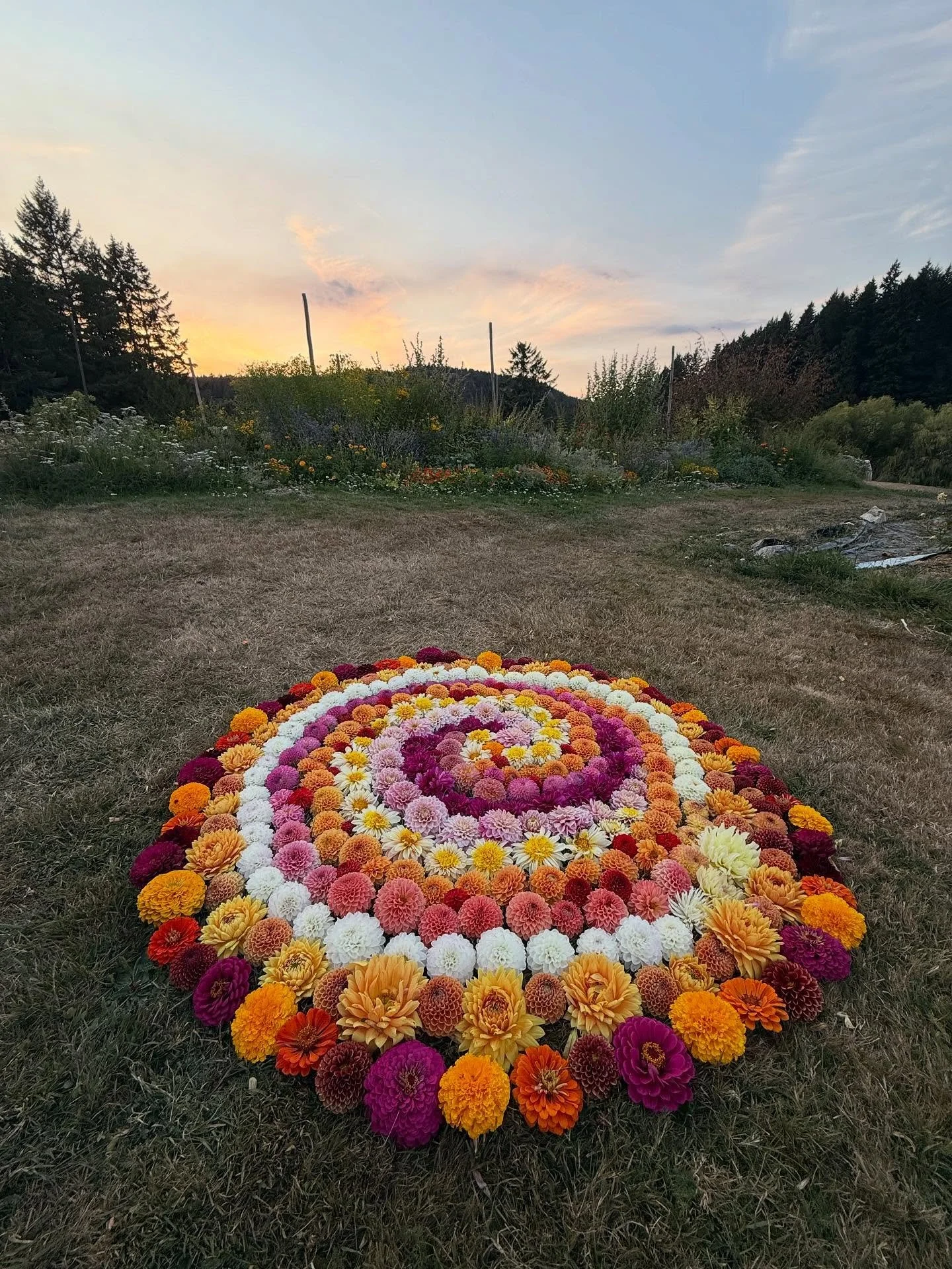 The Farm Stand is CLOSED today in honour of the National Day for Truth and Reconciliation.
~ 
Wishing you all rest and celebration, reflection and connection. 
~