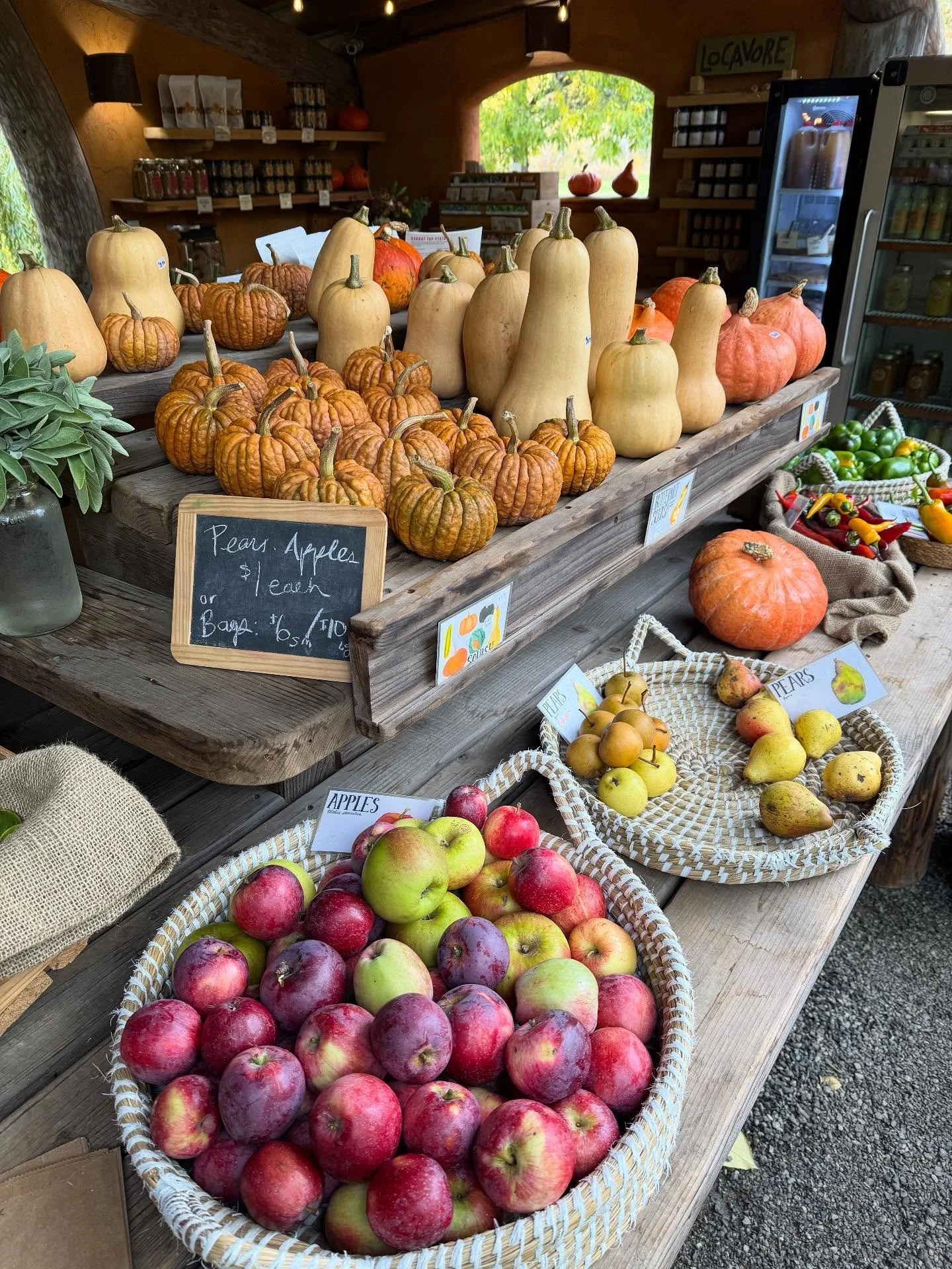 Farm Stand is OPEN!
Here are our Autumn Hours:
DAILY Noon to 5pm
~
LAST DAY OF THE SEASON 
November 23rd
~
#stowellakefarm #farmstand #eatlocal #regenerativeagriculture #farmshop #retreatcentre #saltspringisland #community #islandretreat #farmstay #s