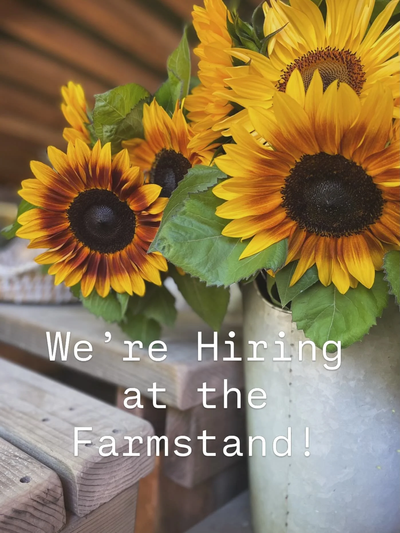Our farmstand is the face of our farm and a hub for our greater community, which means the person in this role represents our farm as a whole. As we enter our second season, the stand is growing, evolving, and building strong systems &mdash; and we&r