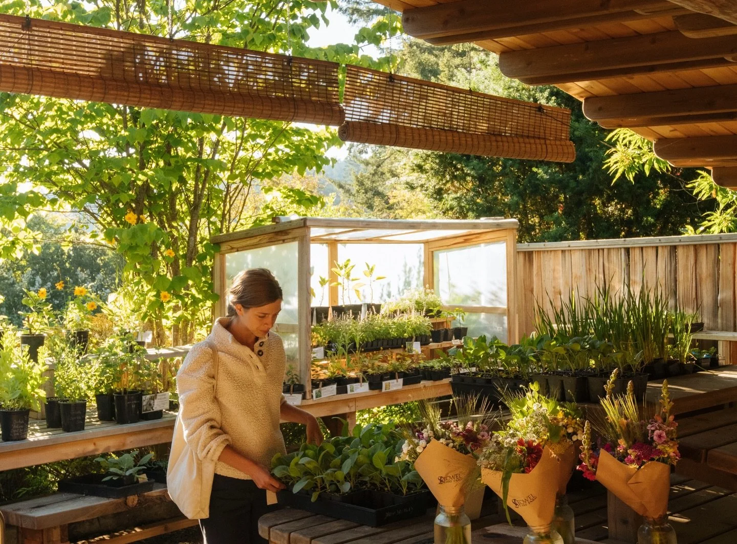THE FARMSTAND IS OPENING!!!!! 

Starting Monday, March 30, our farmstand will officially be open :)

Hours:
Monday&ndash;Thursday: 12PM&ndash;6PM
Friday&ndash;Saturday: 10AM&ndash;6PM
190 Reynold rd, Salt Spring Island

We&rsquo;ll be stocked with fr
