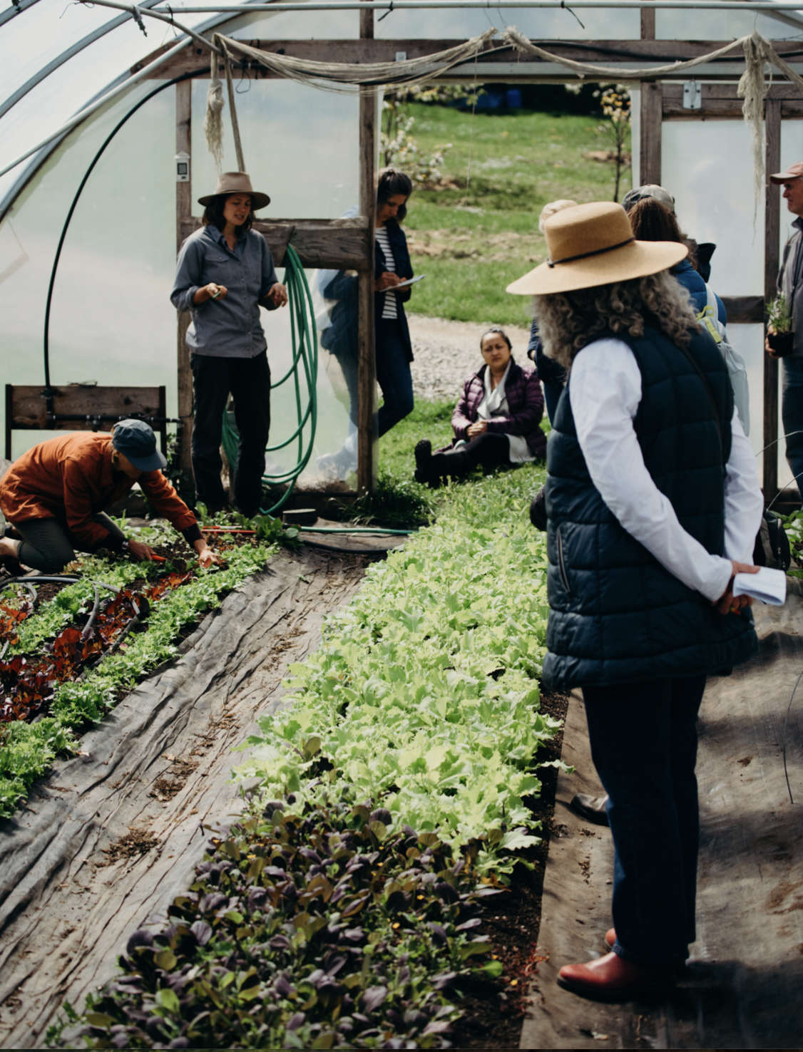 Screenshot 2026-04-02 at 3.14.13 PM.png