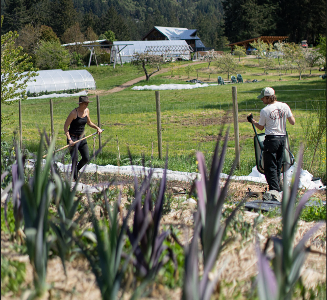 Preparing The Garden For Next Season