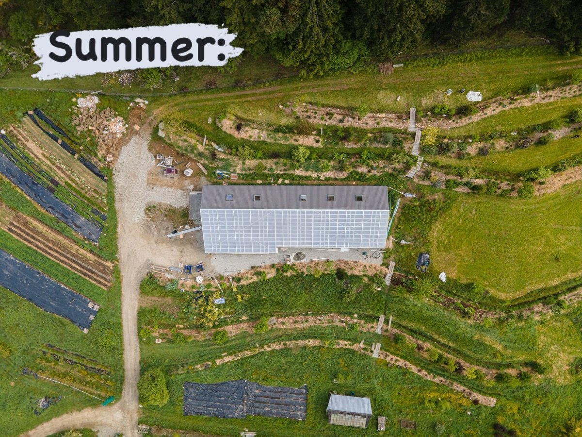 Some shots of the hillside permaculture project throughout the seasons 🌿

This project was started in 2014 when Lisa turned her attention to the hillside and began what she calls a bit of an experiment. A food forest rooted in permaculture and grown
