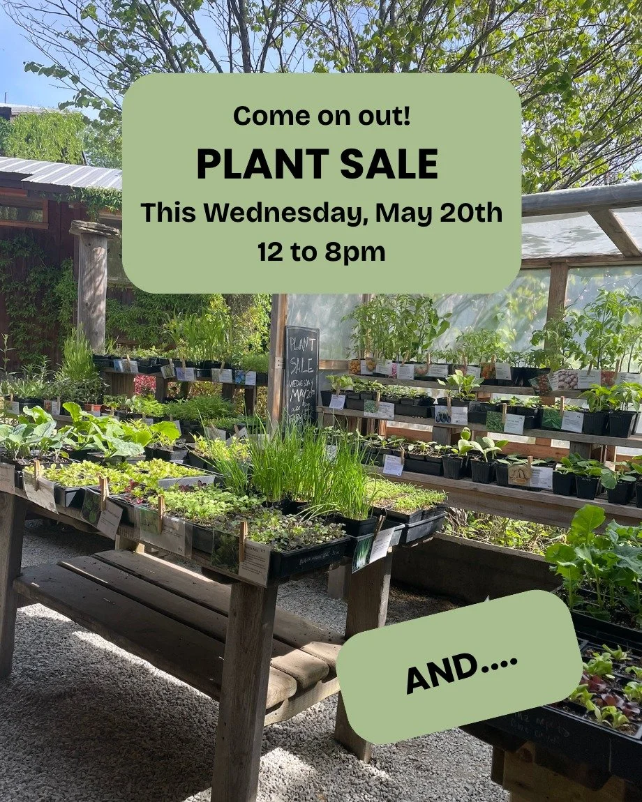 Farm Tour &amp; Plant Sale
Wednesday, MAY 20th!
🌱🌱🌱
FREE FARM TOUR at 6pm with Lisa &amp; Megan.
Special Event Hours 12 - 8pm
We are bringing out ALL THE PLANTS!
~
Come check out the farm and get all your questions answered!! 
~
#spring #plantsale