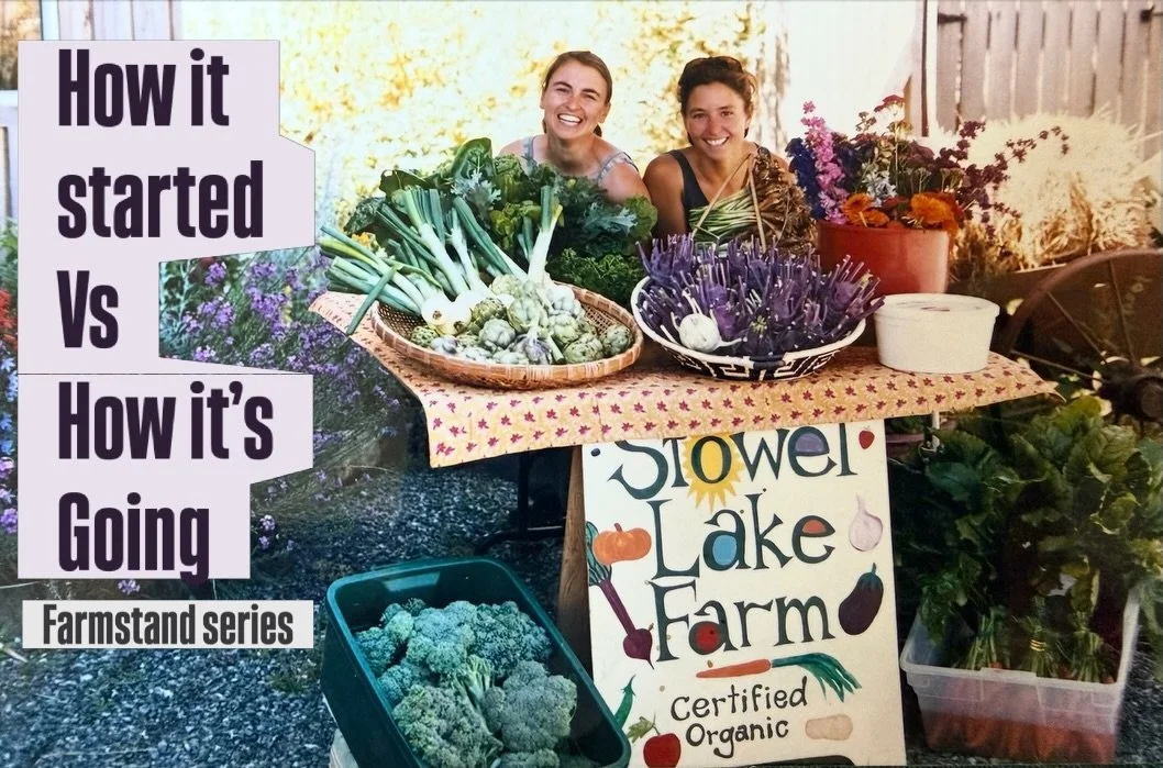 The evolution of the farmstand✨

The farmstand has always been such a special part of the farm. It started out in the early 2000s, with Jen and Liz running a CSA box program. Eventually, they began selling all their veggies on a small table right on 