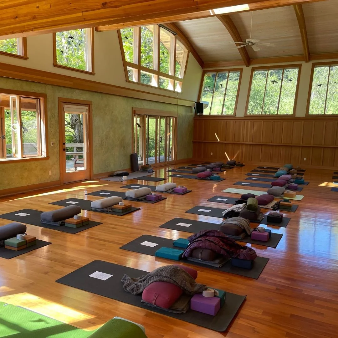 Path of Practice - Mindful Yoga and Meditation Retreat