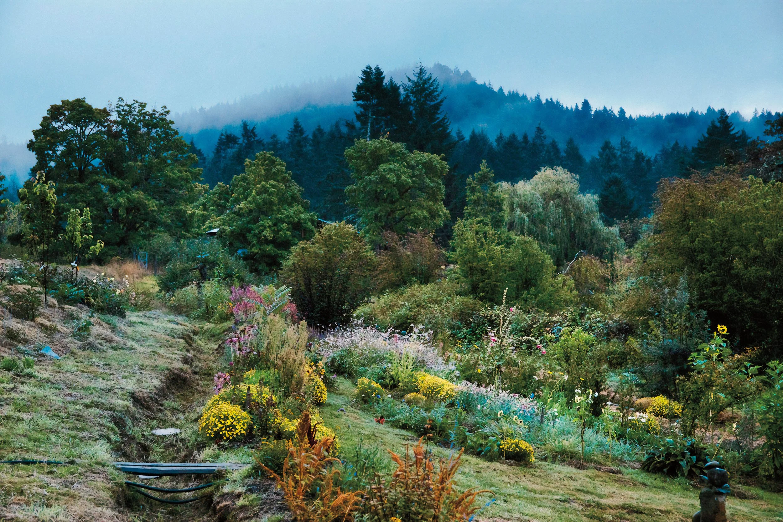 Wild Farm Summer Camp