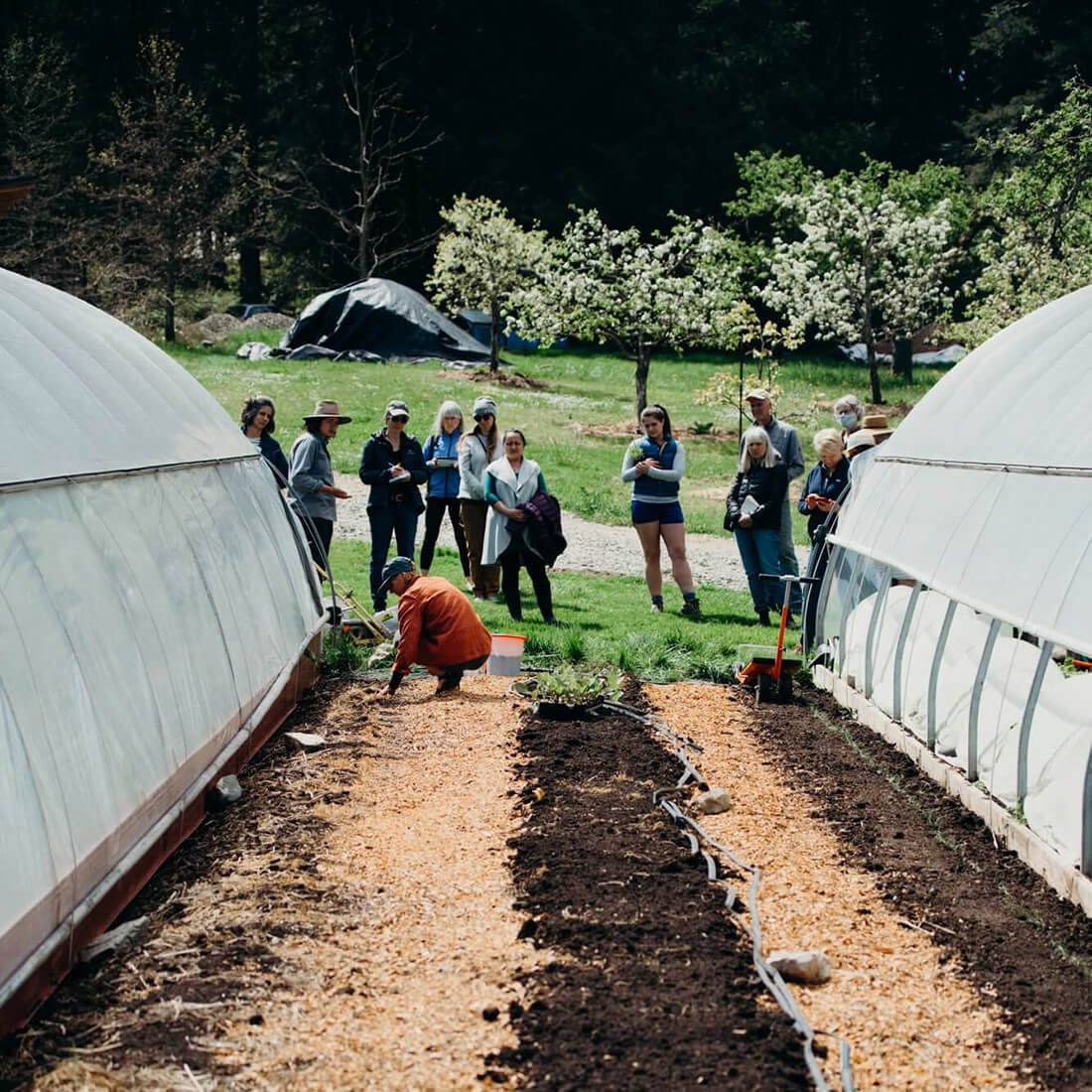 Growing For Year Long Food Production