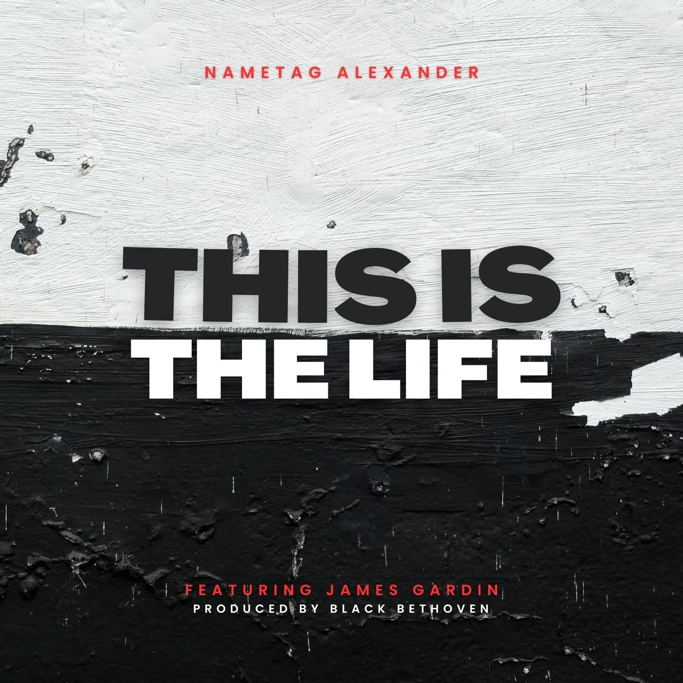 Nametag Alexander “This Is The Life” (Feat. James Gardin)