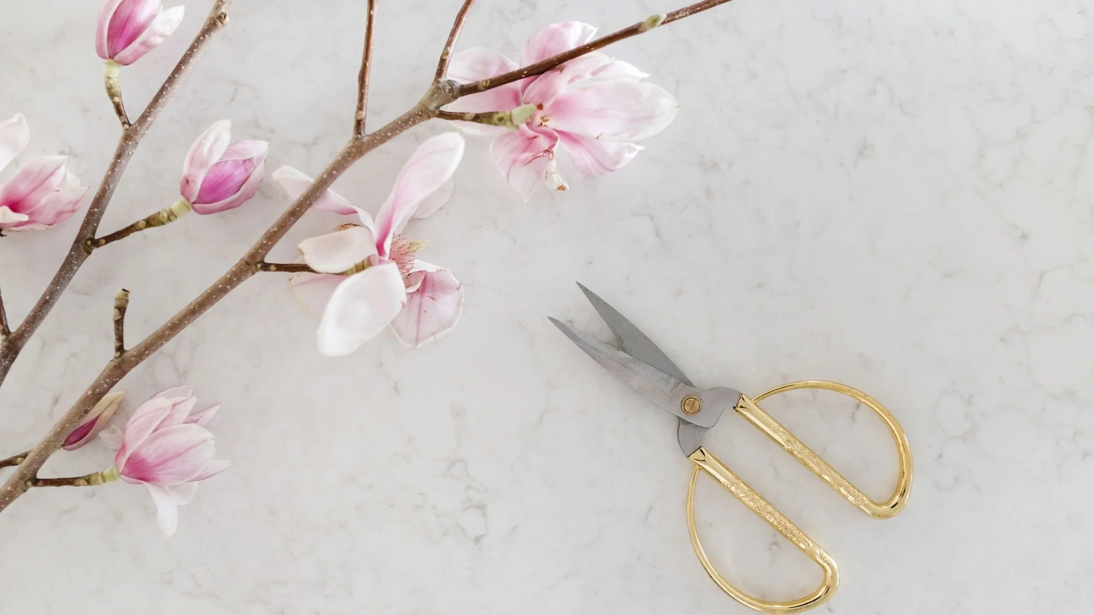 5 Things the Bible Says About Pruning — Inclination Life