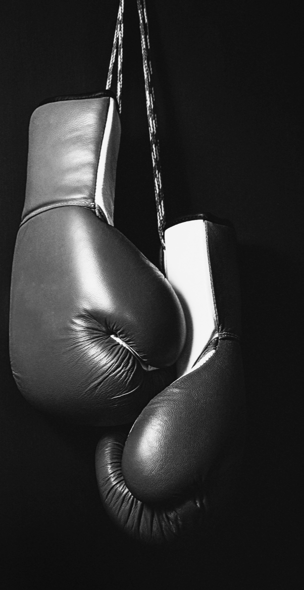 Hanging Boxing Gloves