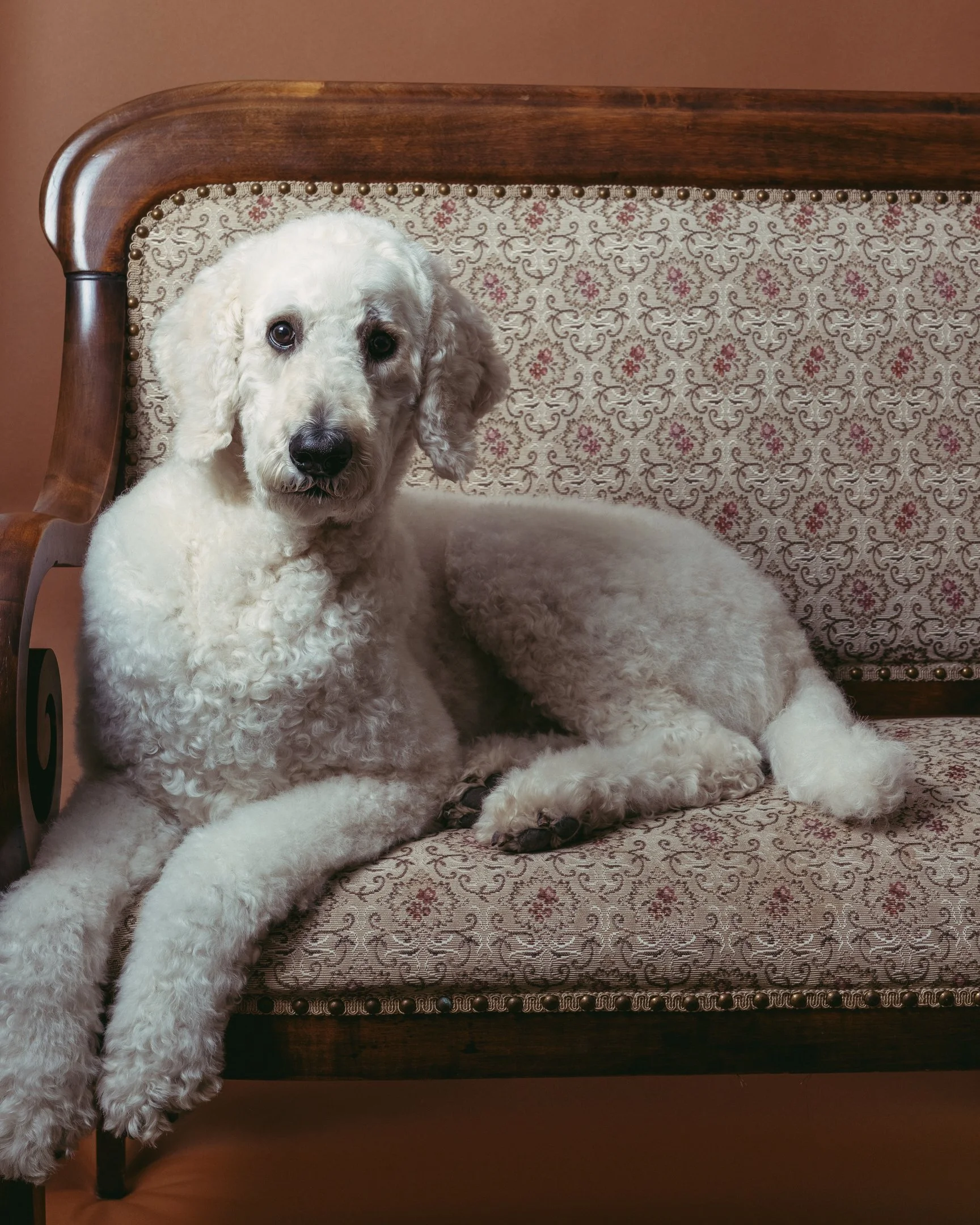 Baxter-28.jpg