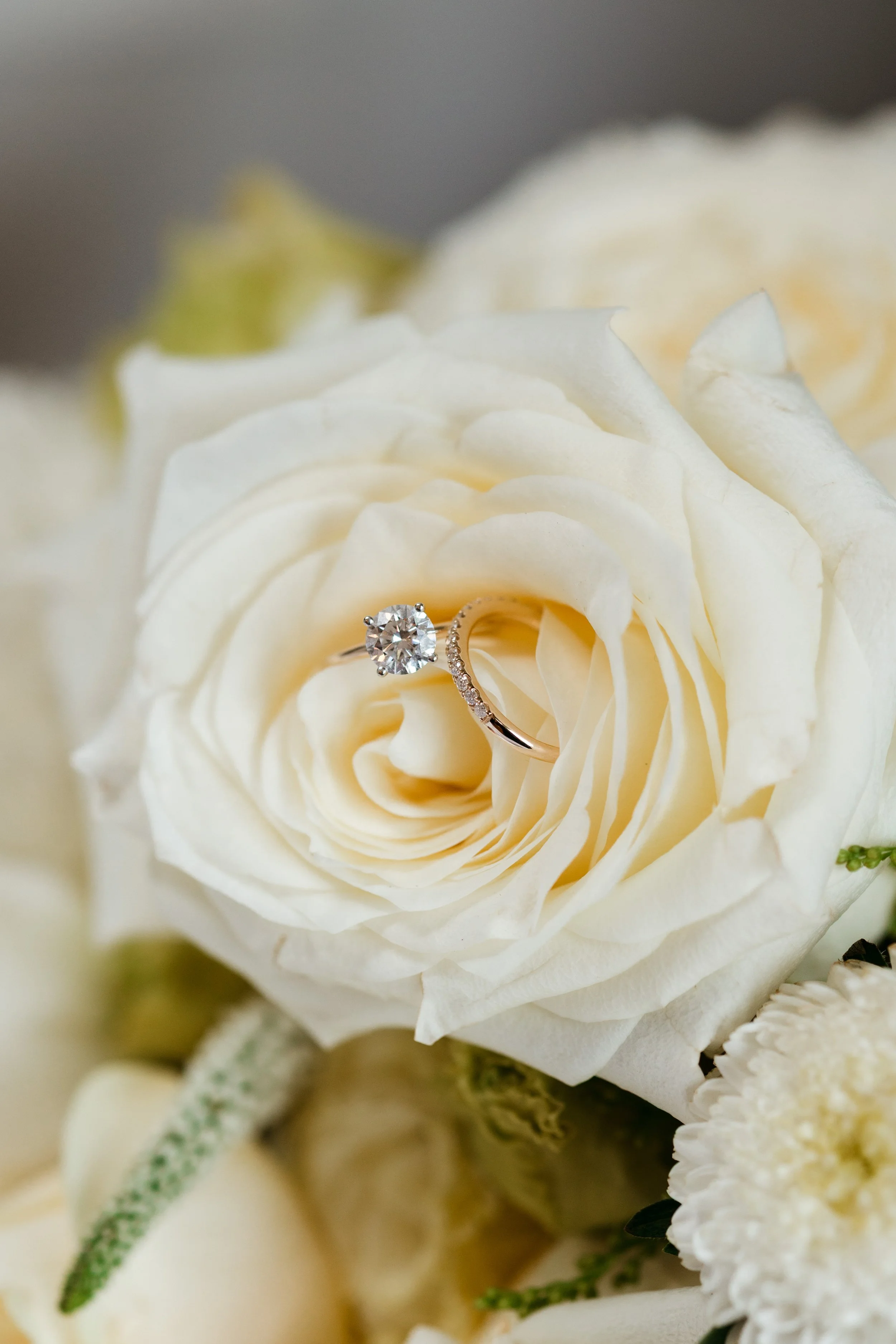 Shanae+Connor_Highlights-18.jpg