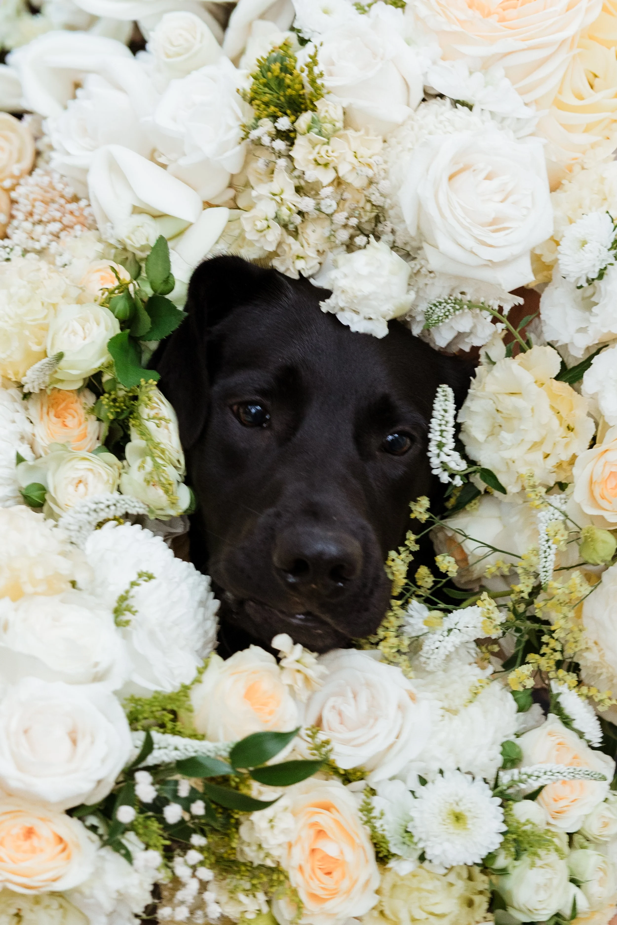 Shanae+Connor_Highlights-72.jpg