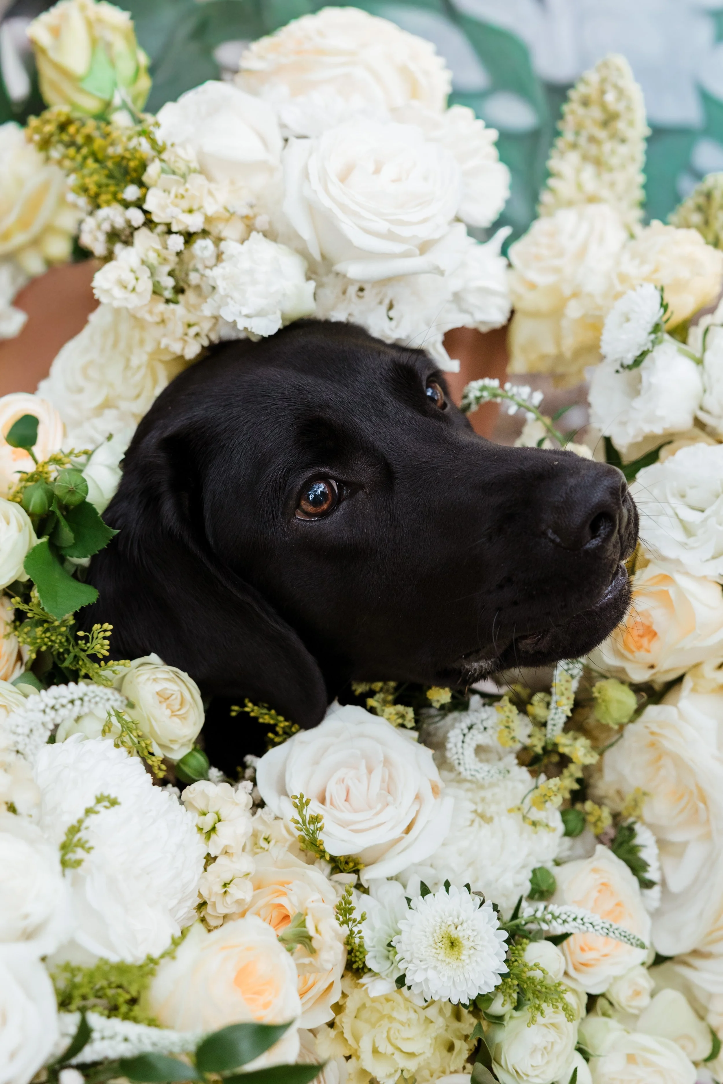 Shanae+Connor_Highlights-73.jpg
