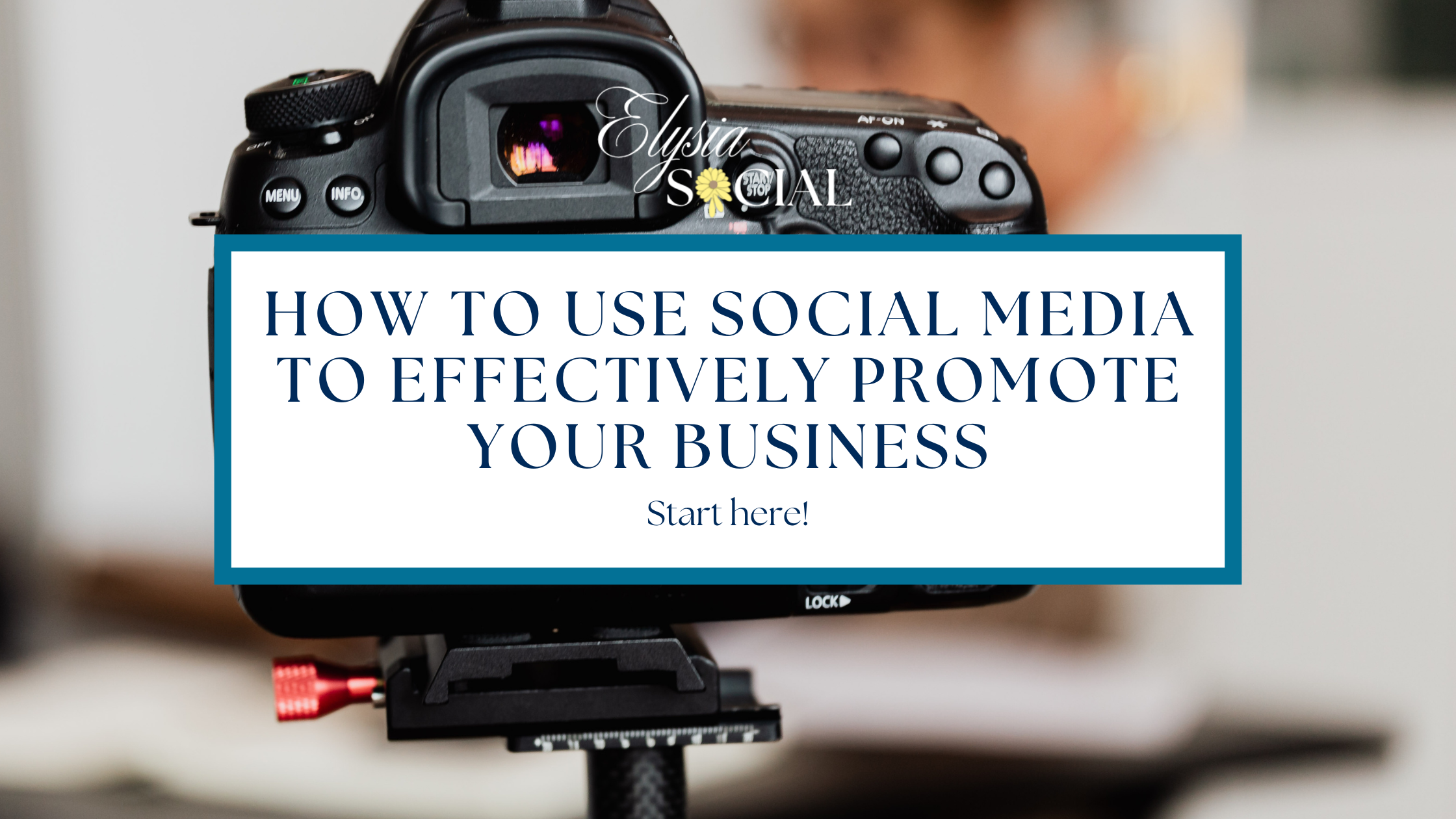 How to Effectively Use Social Media to Promote Your Business — Elysia ...