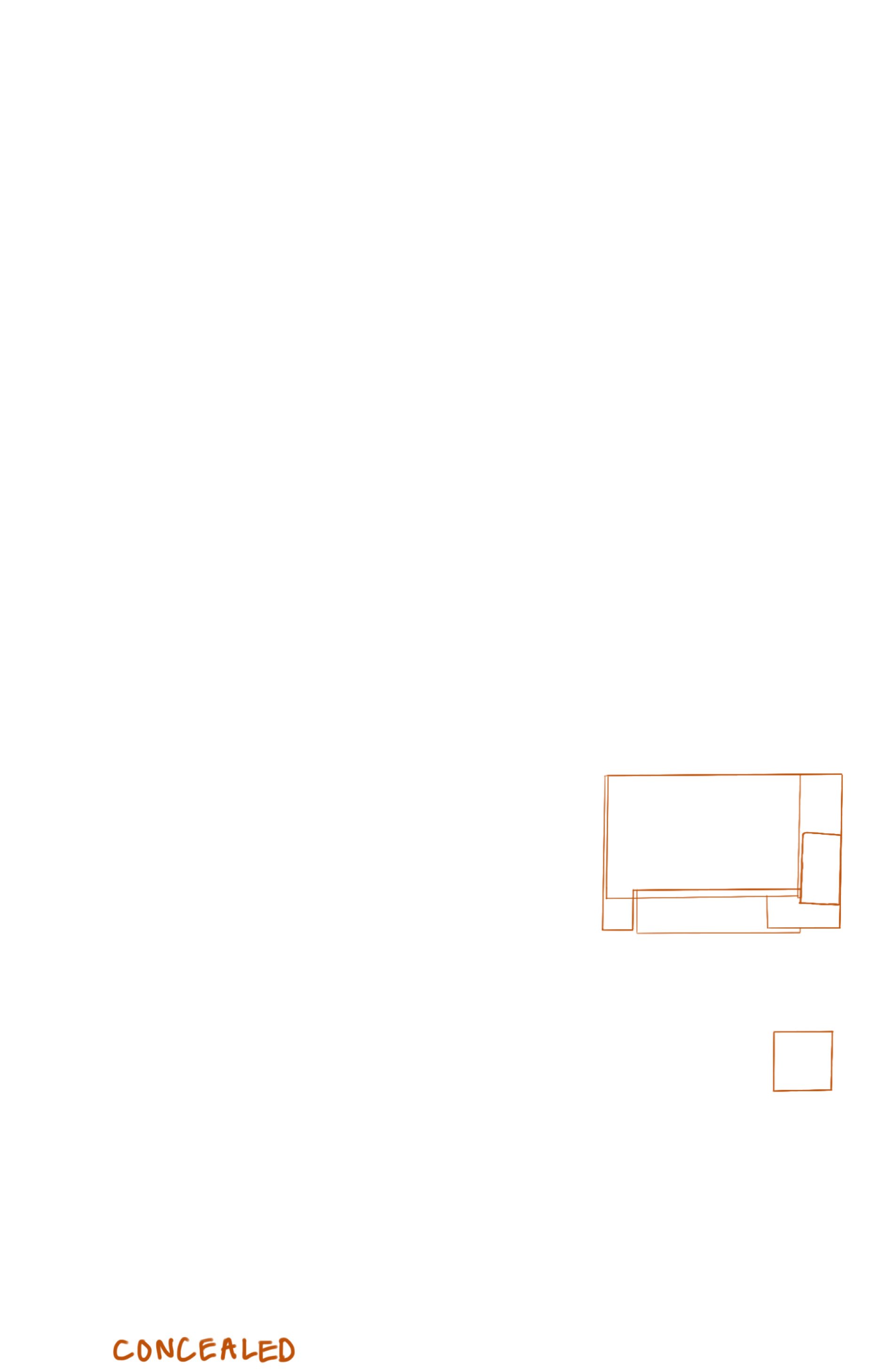 CAD Layer- Concealed.jpg