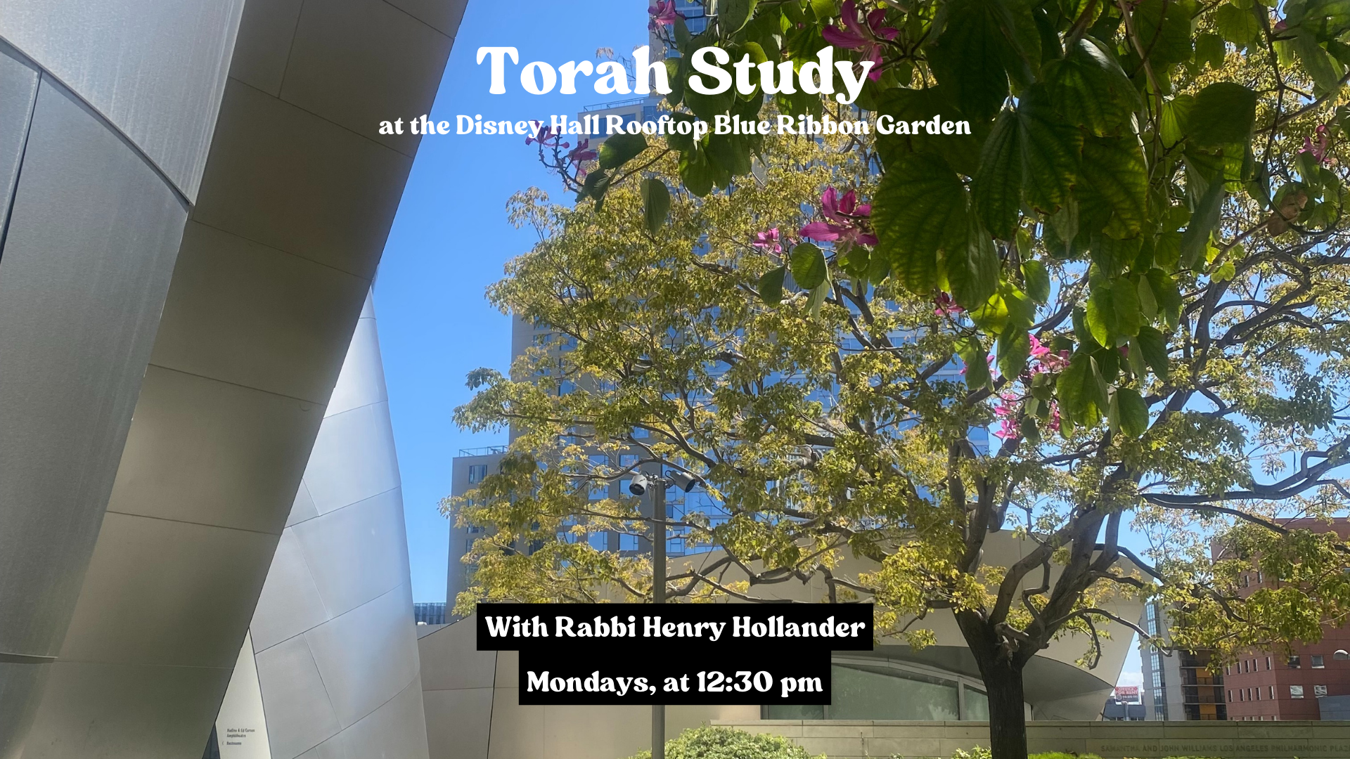 Torah Study in the Garden