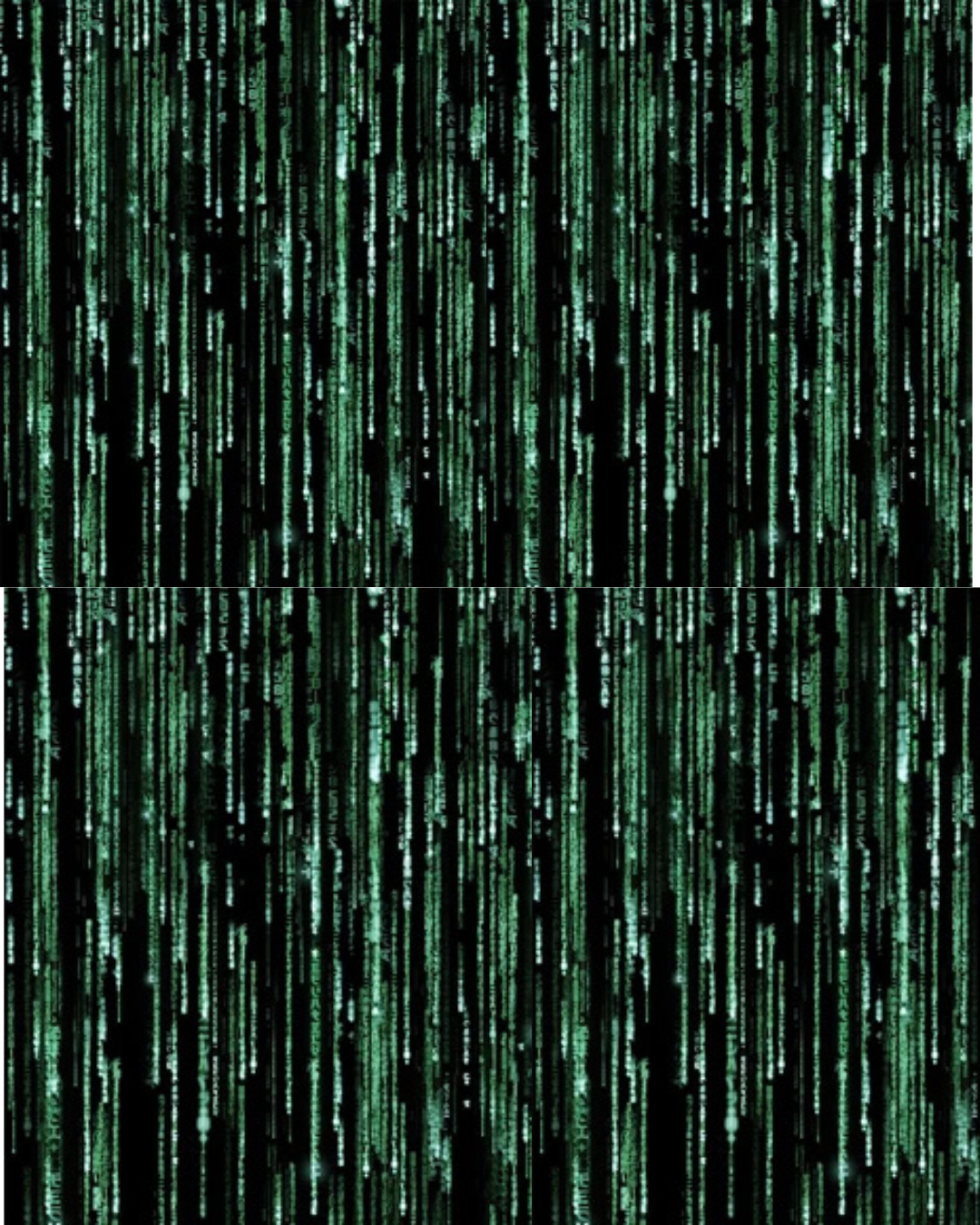 The Matrix and Assimilation