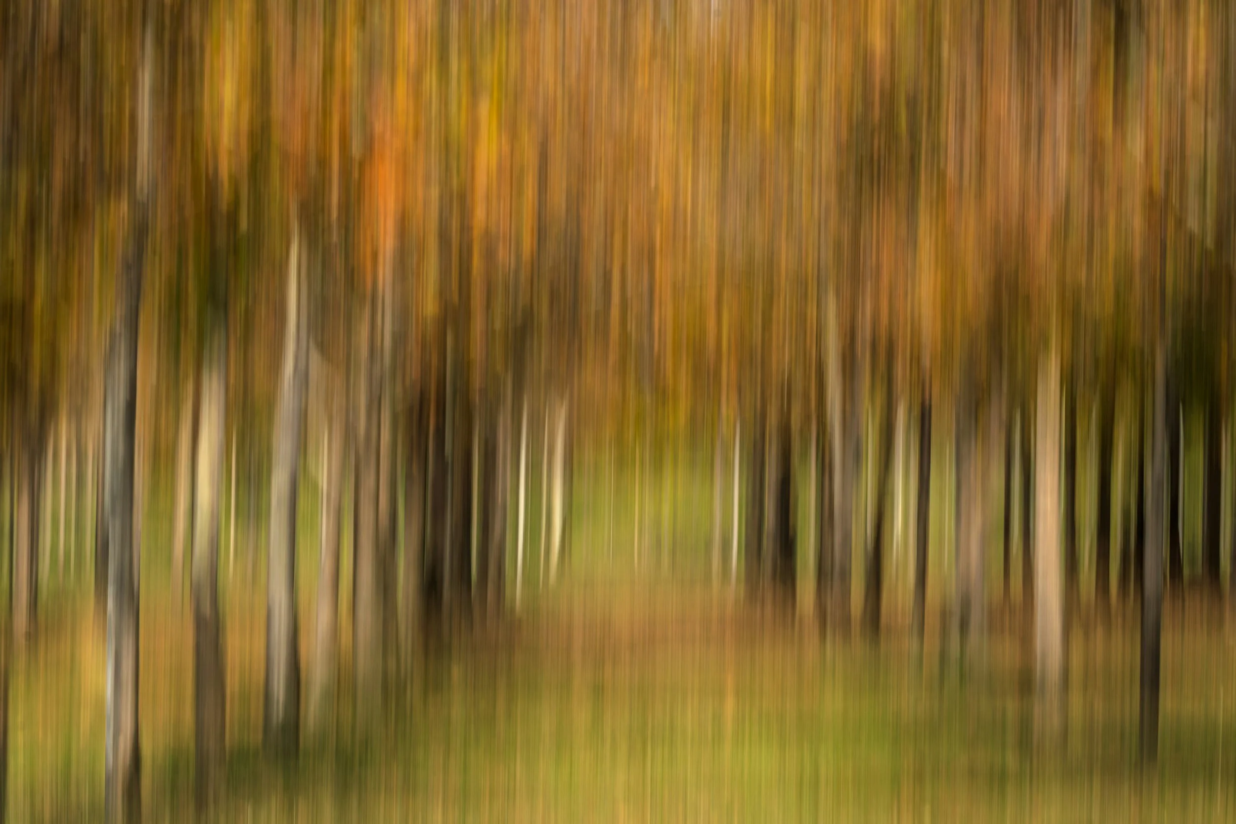 Institutionalizing Innovation