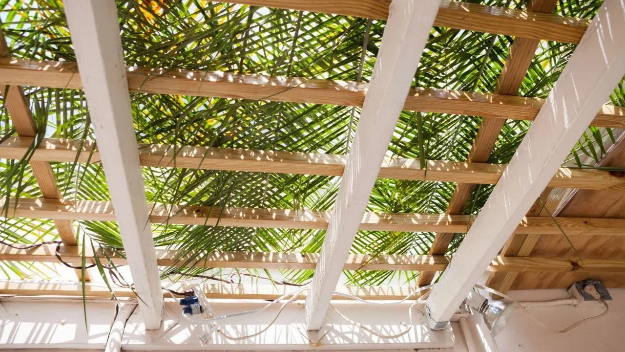 Sukkah Building