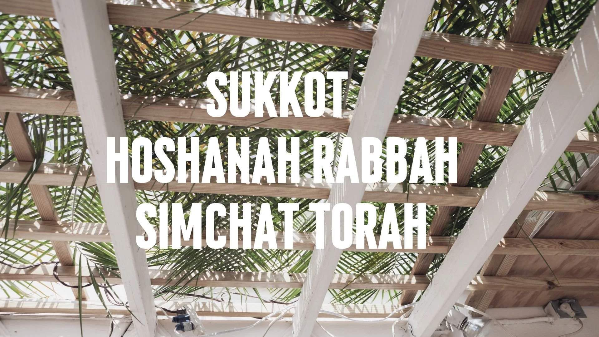 Sukkot Services at TBI