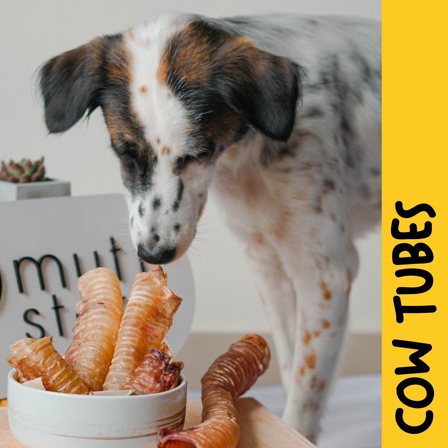 🐮 Did someone say, Moo? 

Moo who? Moo tubes coming at ya! We adore this treat and is a staple in most homes as it isnt JUST a chew, it is also a great medium for enrichment. 

Stuff the tubes or coat it with some greek yogurt, freeze it (or not); a